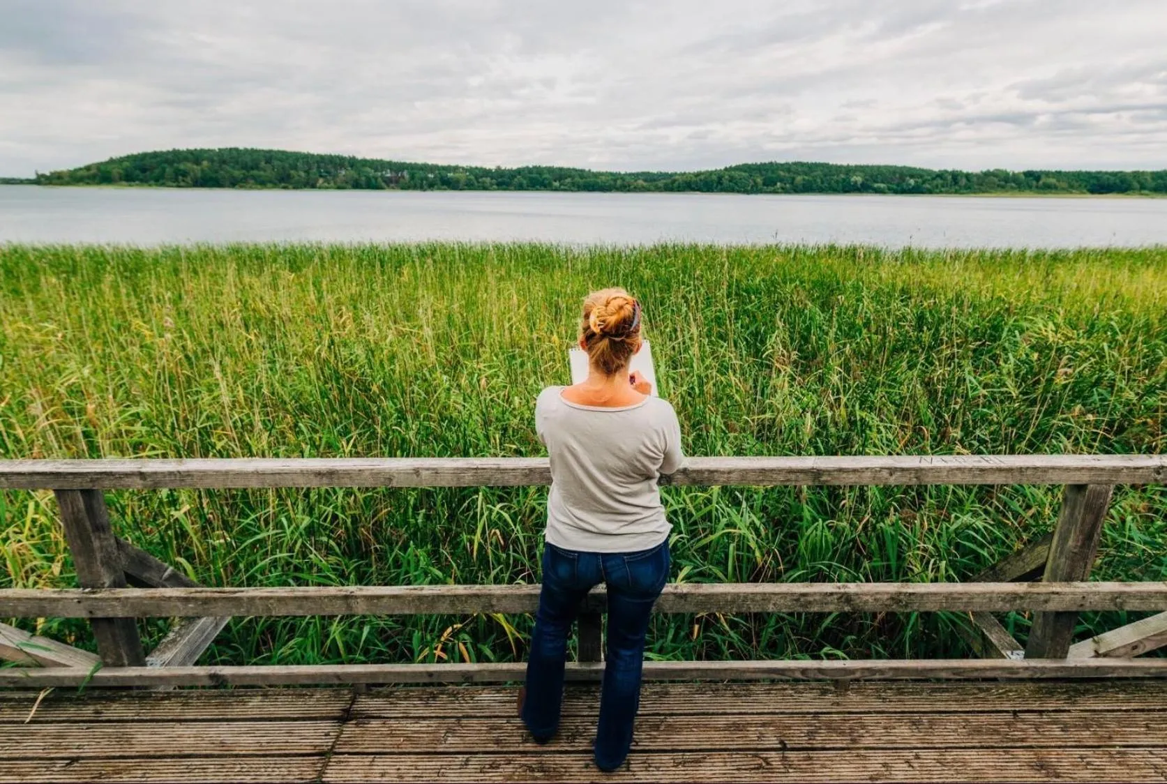 Natural landscape in Hotel am Müritz-Nationalpark