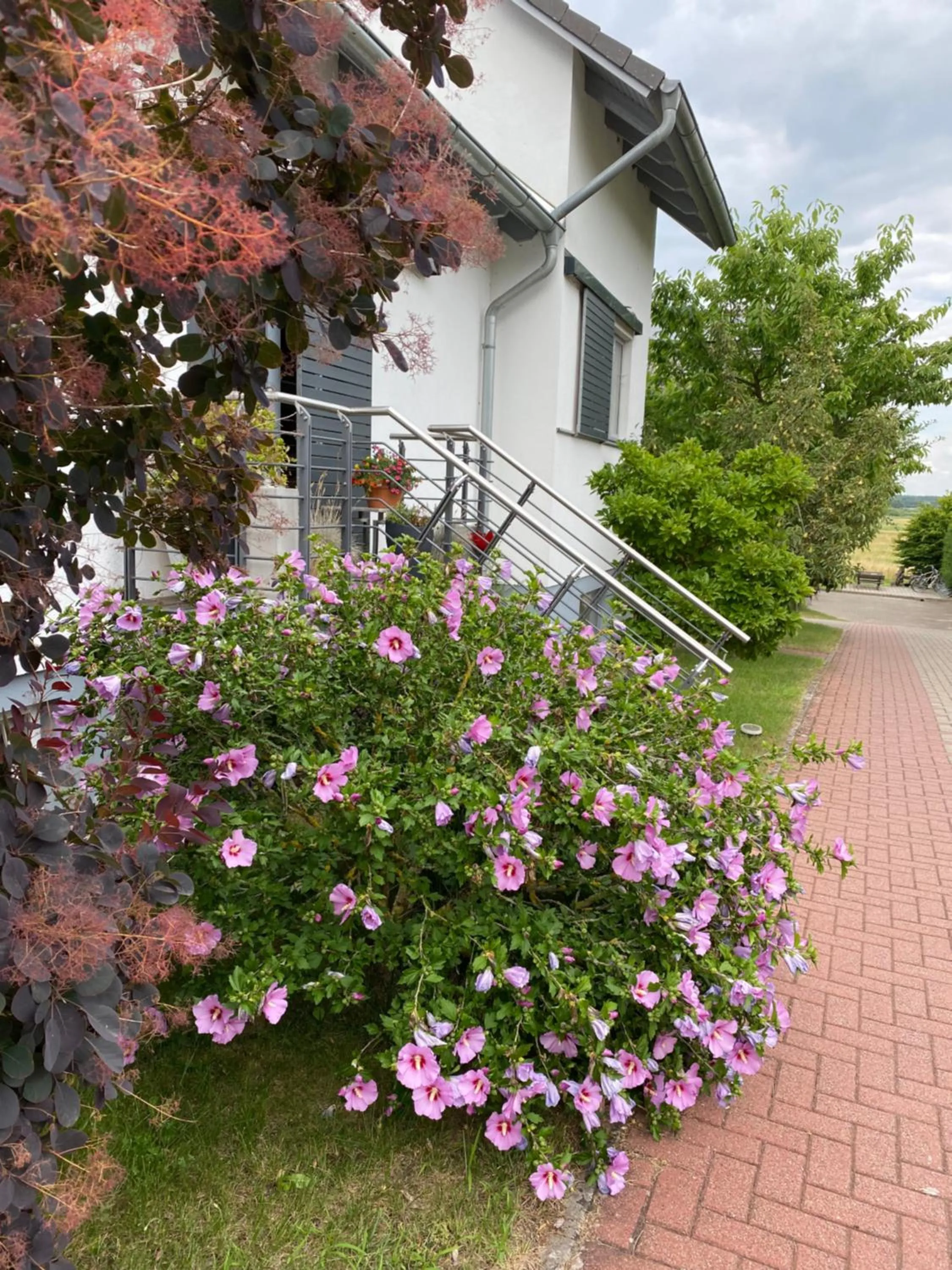 Property building in Hotel am Müritz-Nationalpark