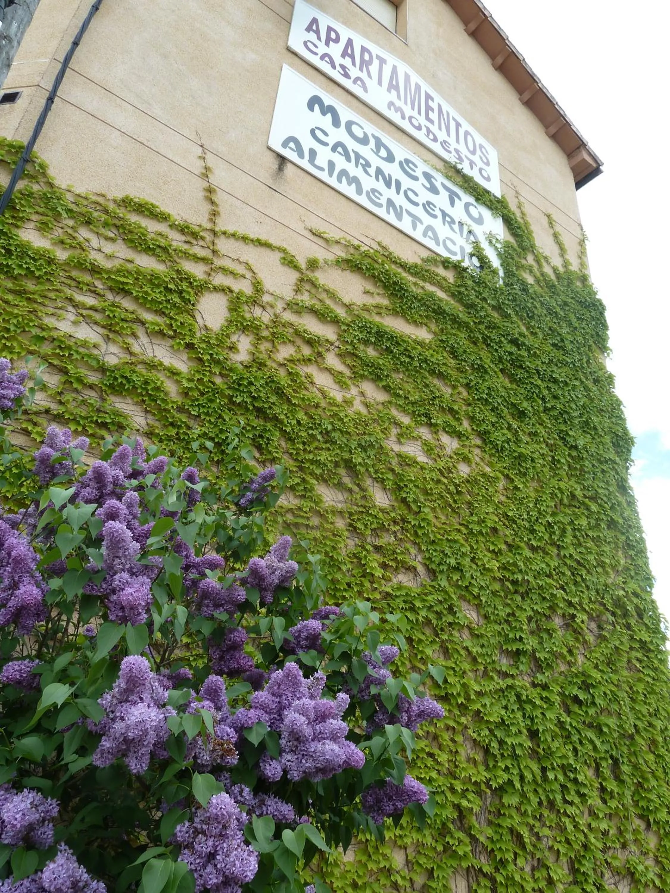 Apartamentos Casa Modesto