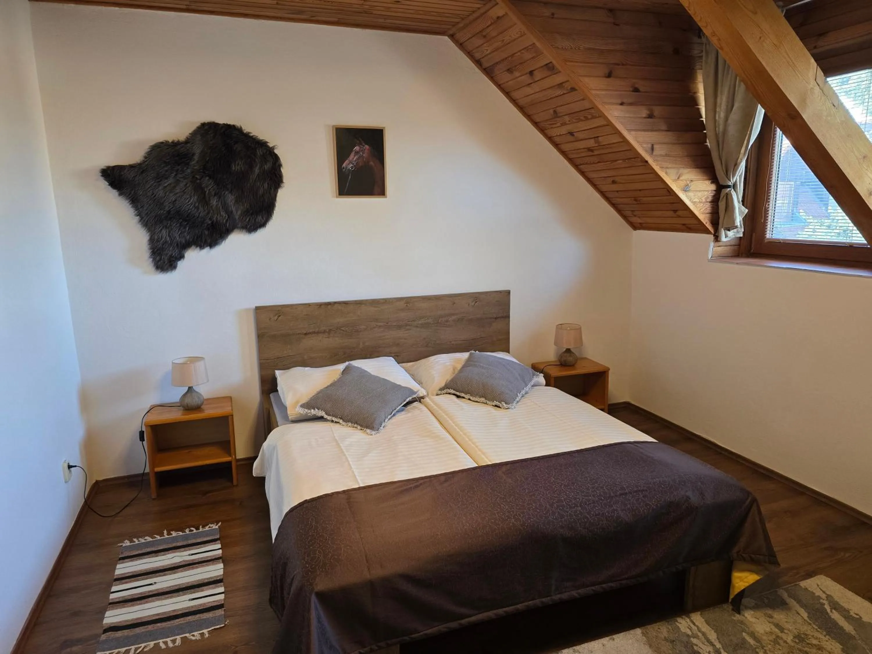 Double Room in Penzión Pegas