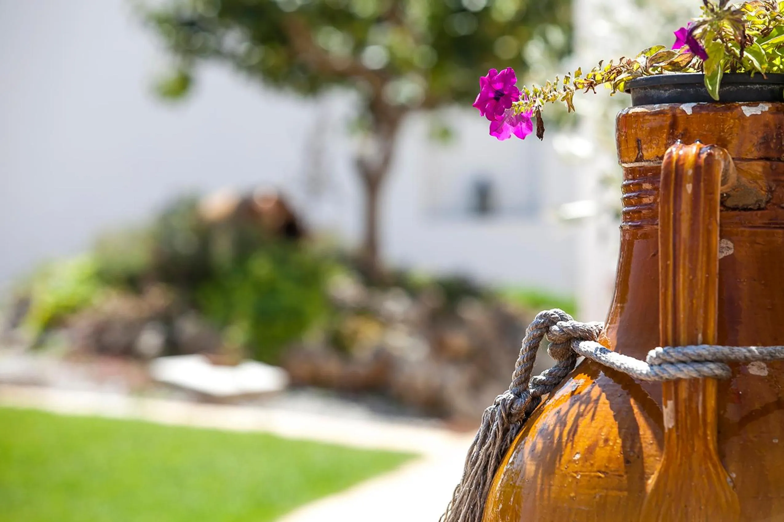 Decorative detail in Coppola di Seta