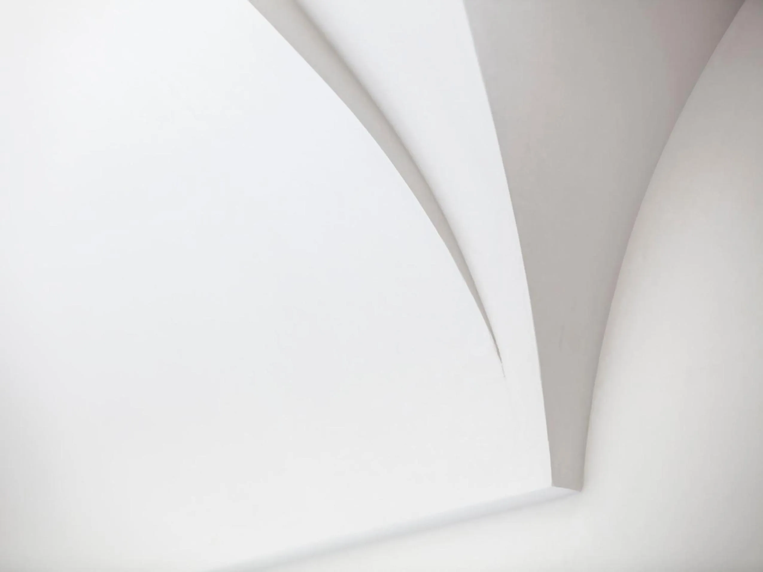 Decorative detail in Coppola di Seta