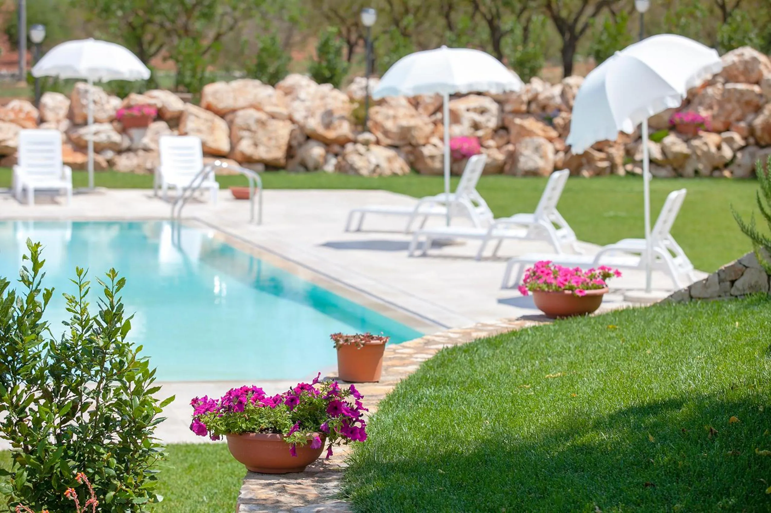 Solarium in Coppola di Seta