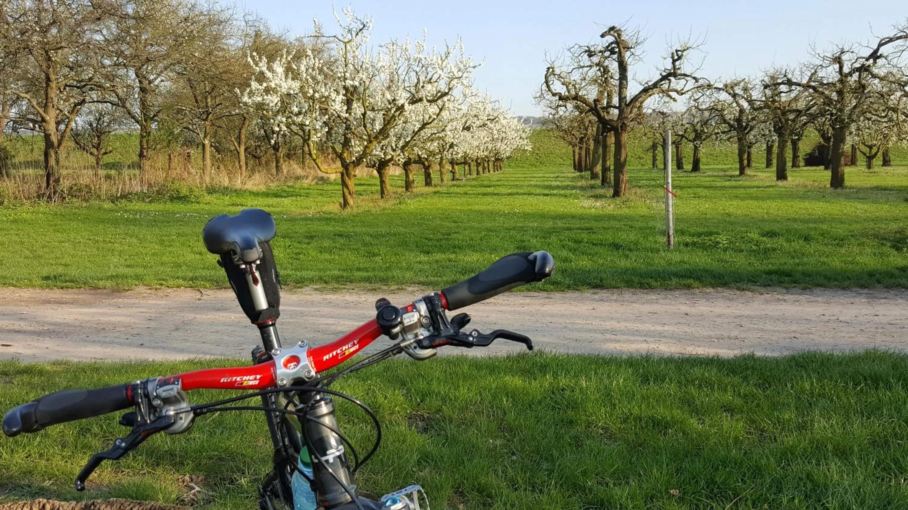 Cycling in RUTHMANN-Rheinblick GARNI
