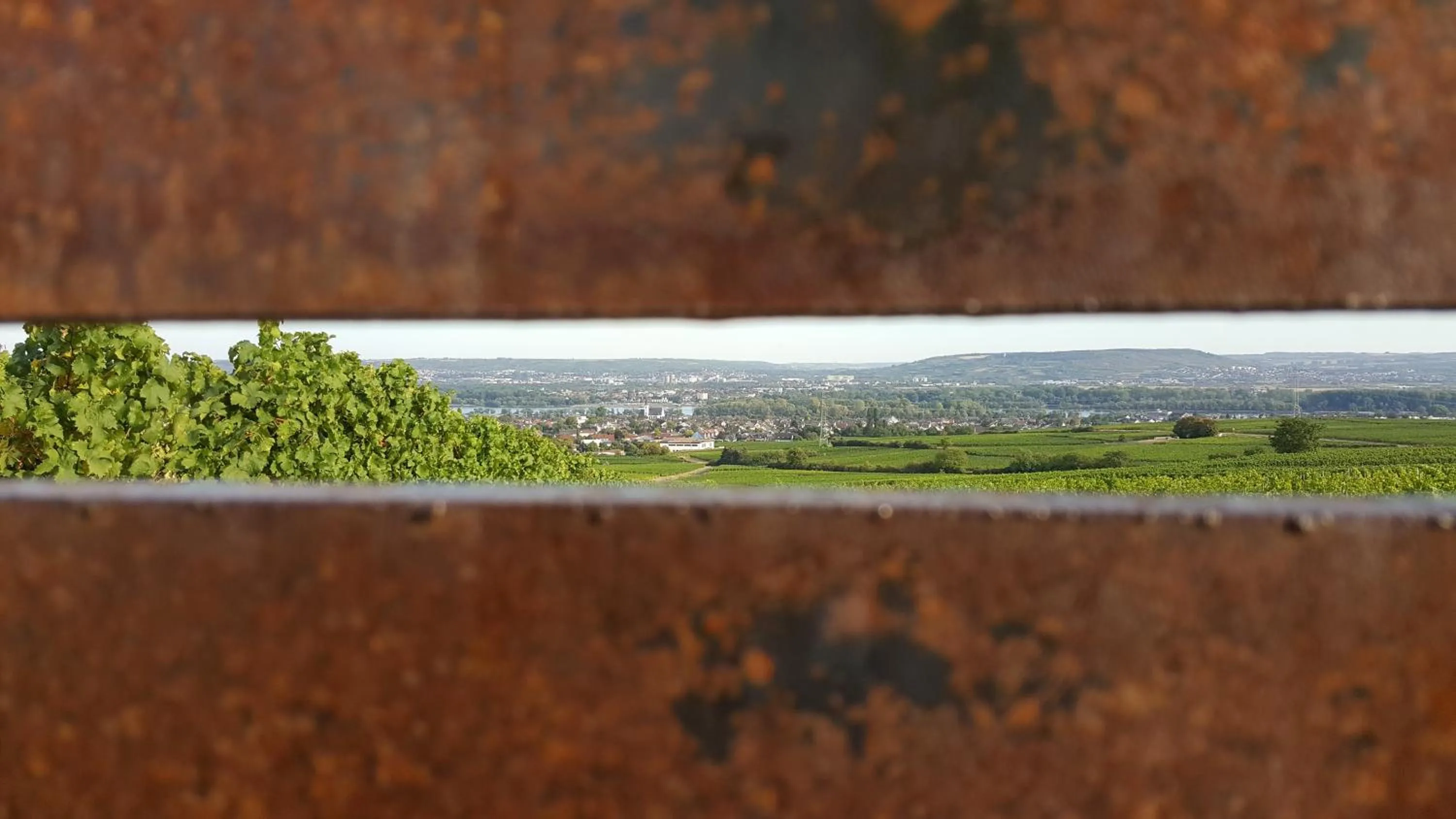 Natural landscape in RUTHMANN-Rheinblick GARNI