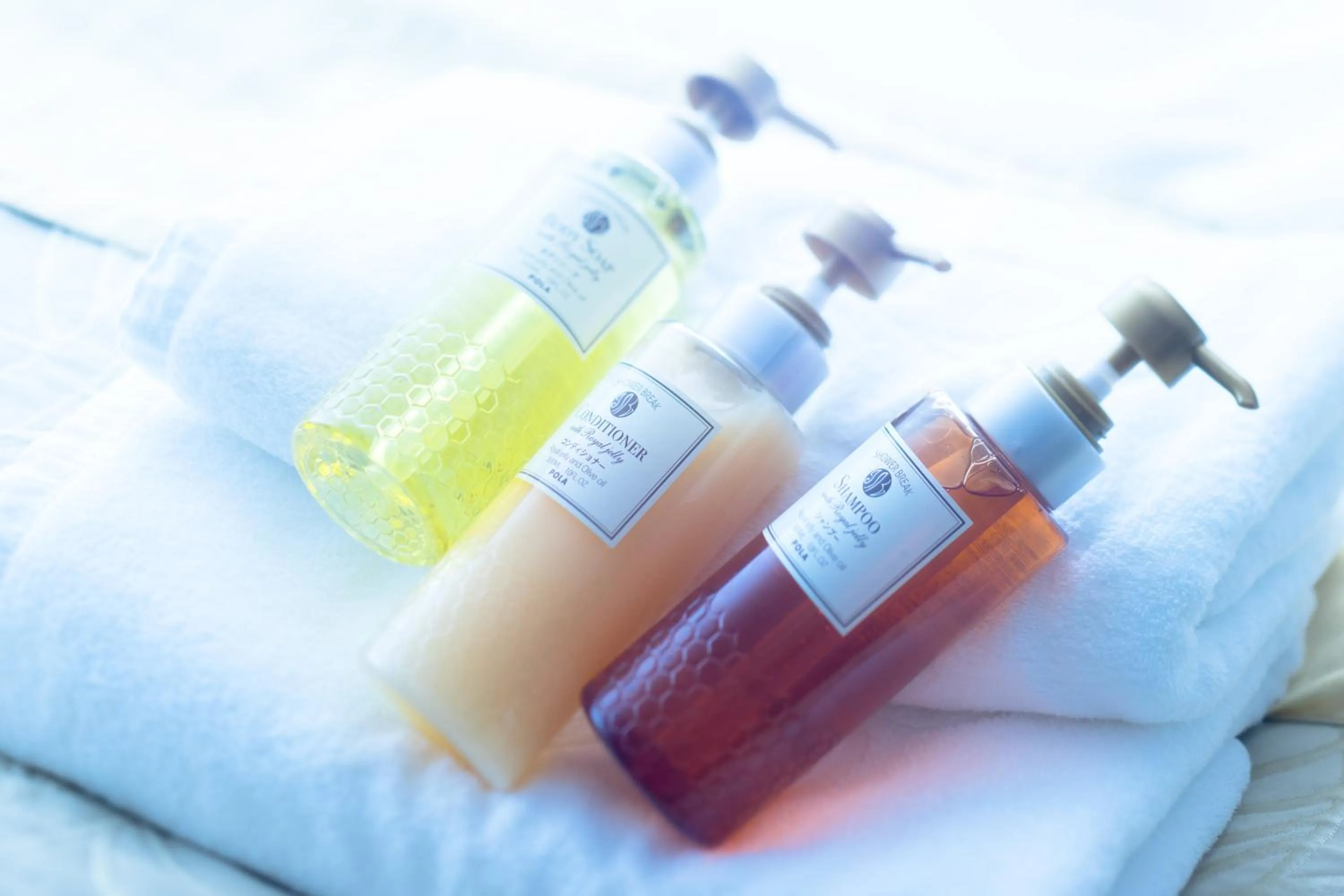 Hotel Nikko Tachikawa Tokyo