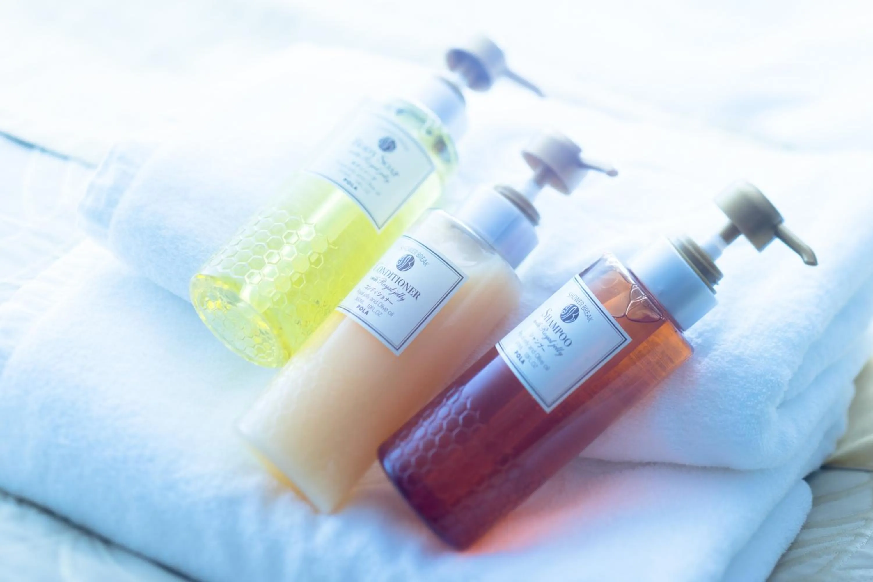 Other in Hotel Nikko Tachikawa Tokyo