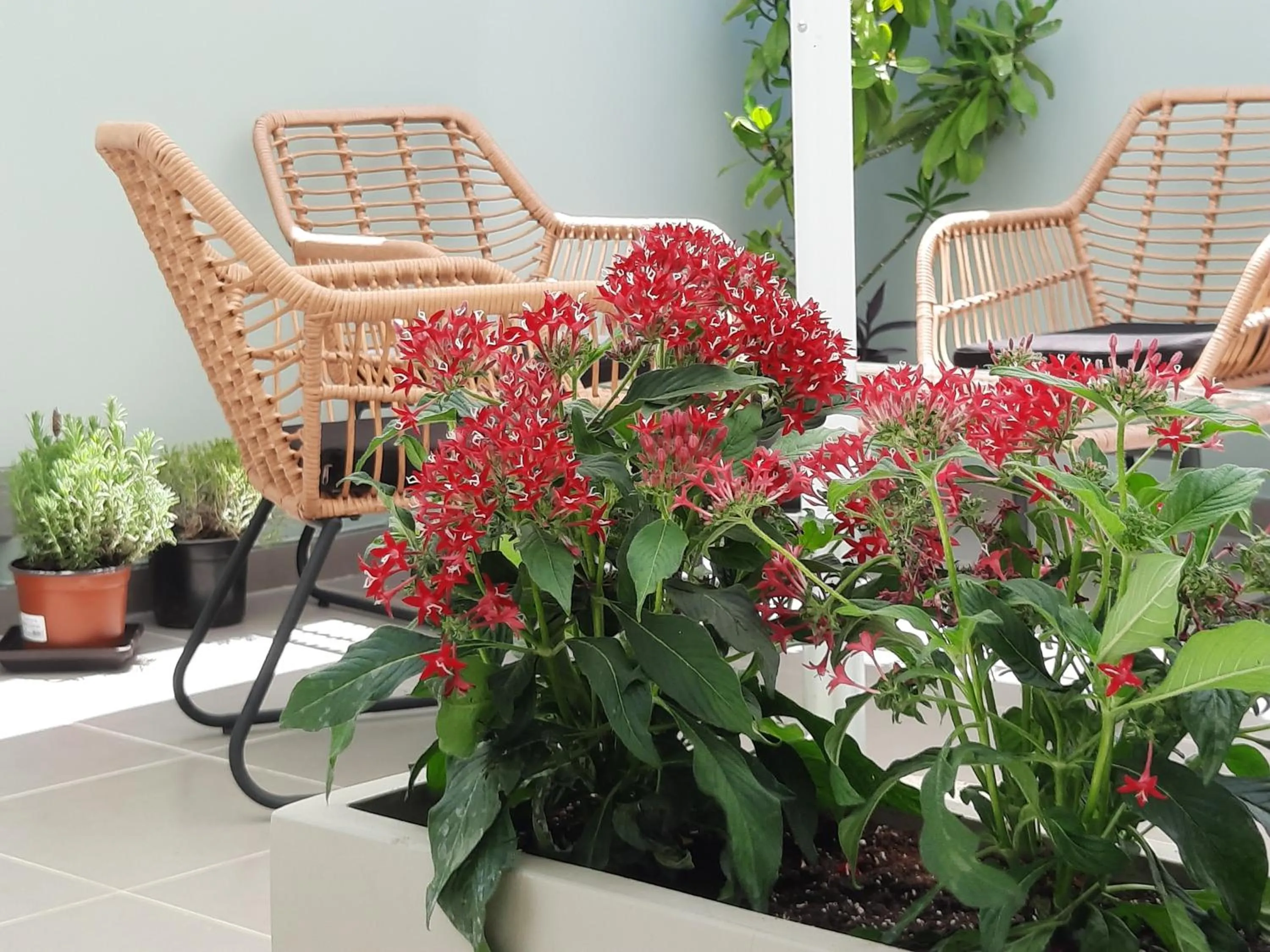 Inner courtyard view in Melenia Suites