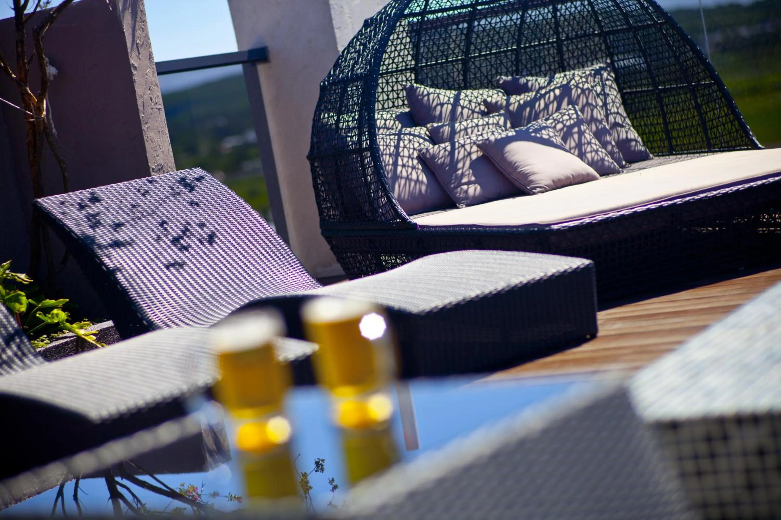 Garden in Wolken Lodge