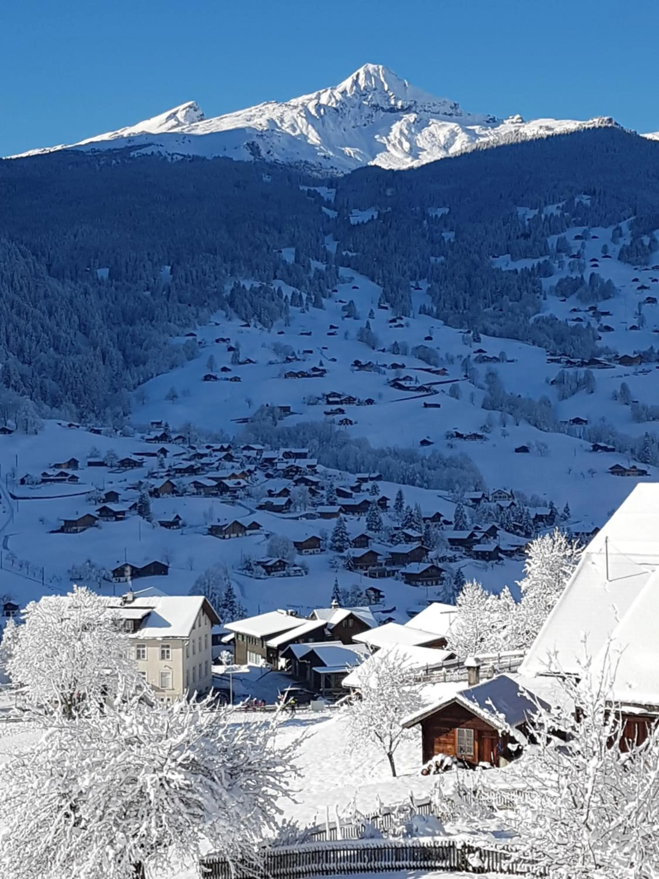 Natural landscape in Hotel Bel-Air Eden