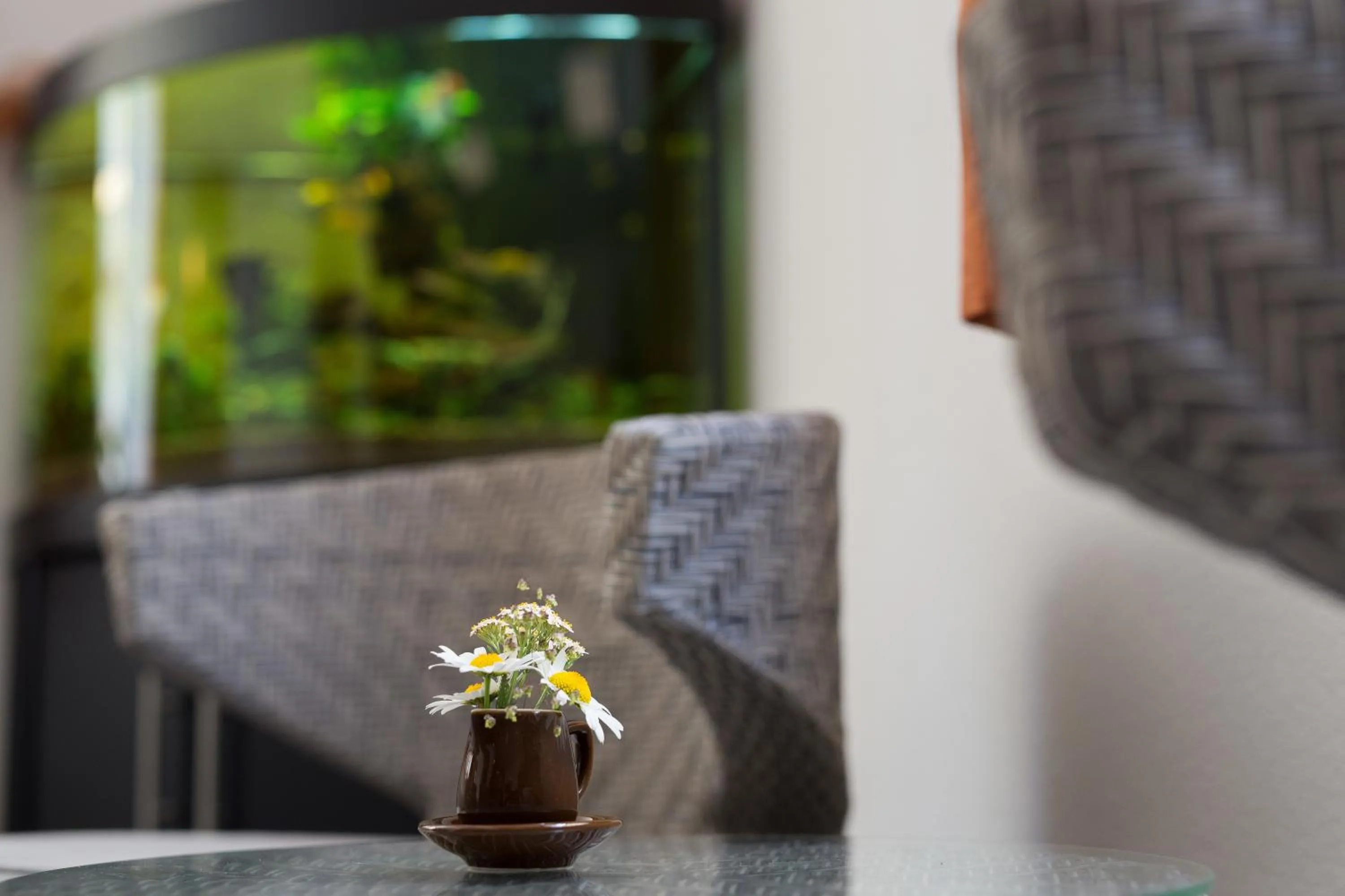 Lounge or bar in Hotel Bel-Air Eden