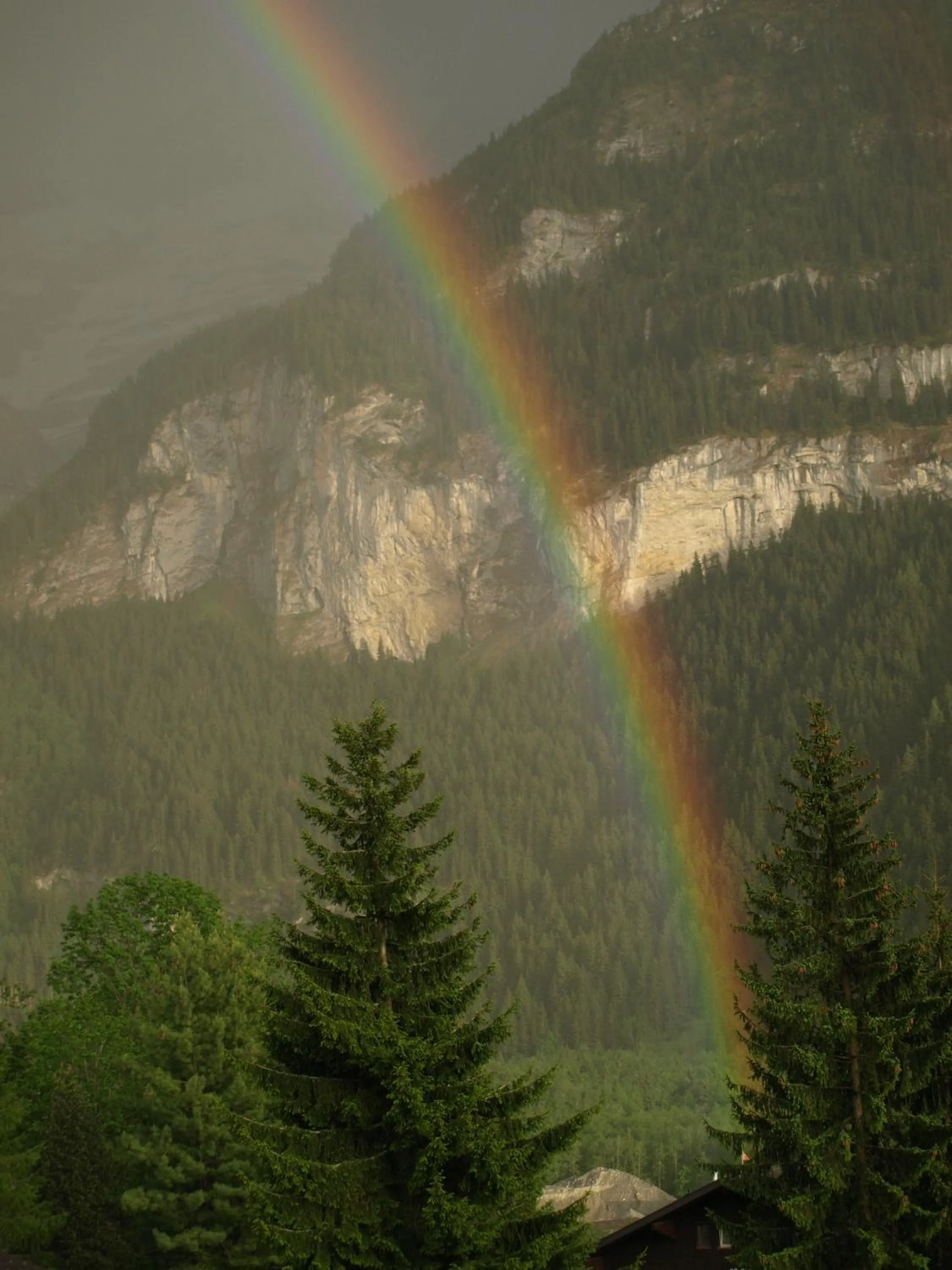 Natural landscape in Hotel Bel-Air Eden