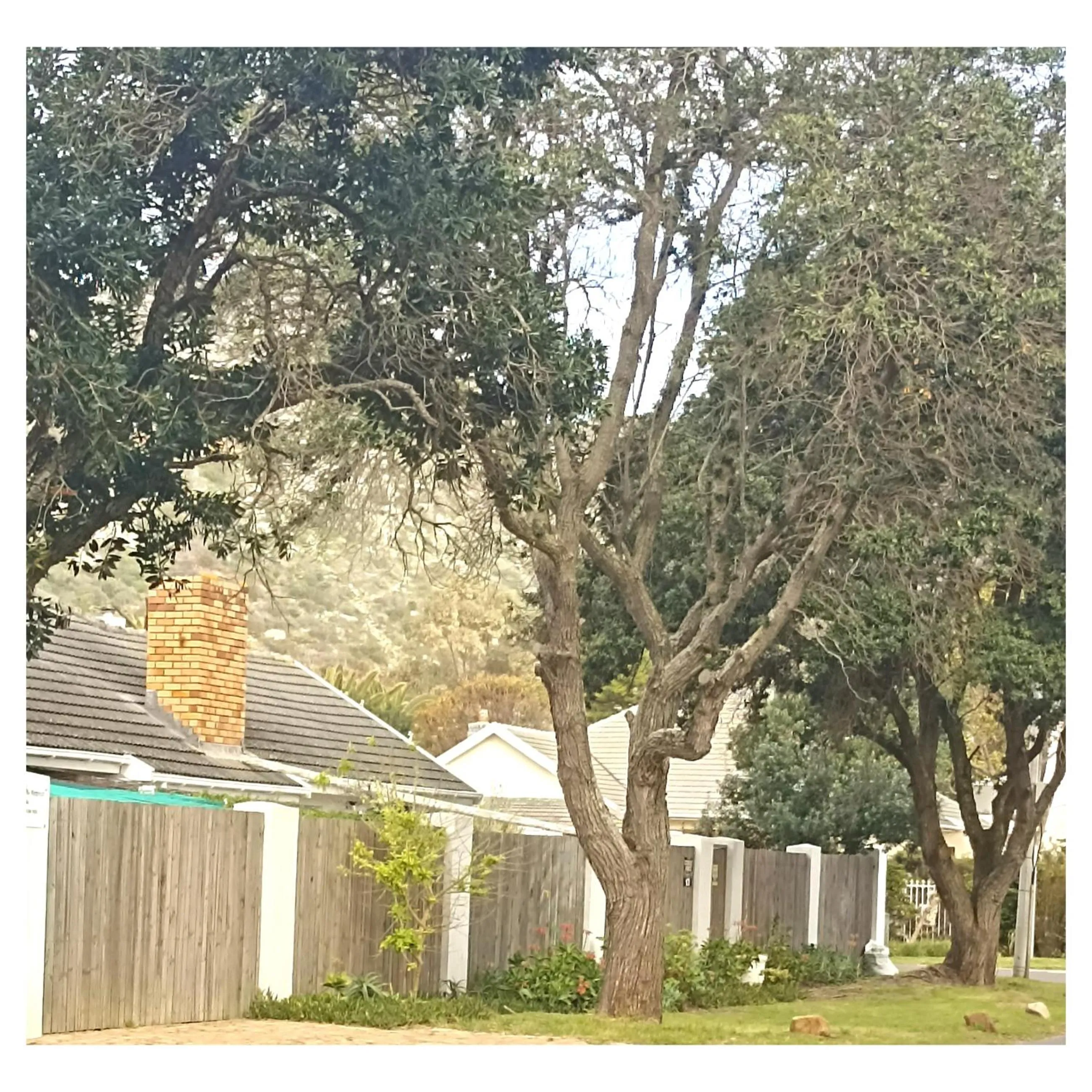 Property building in The Retreat