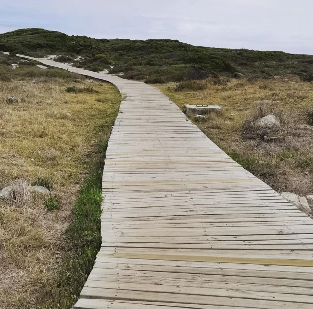 Natural landscape in The Retreat