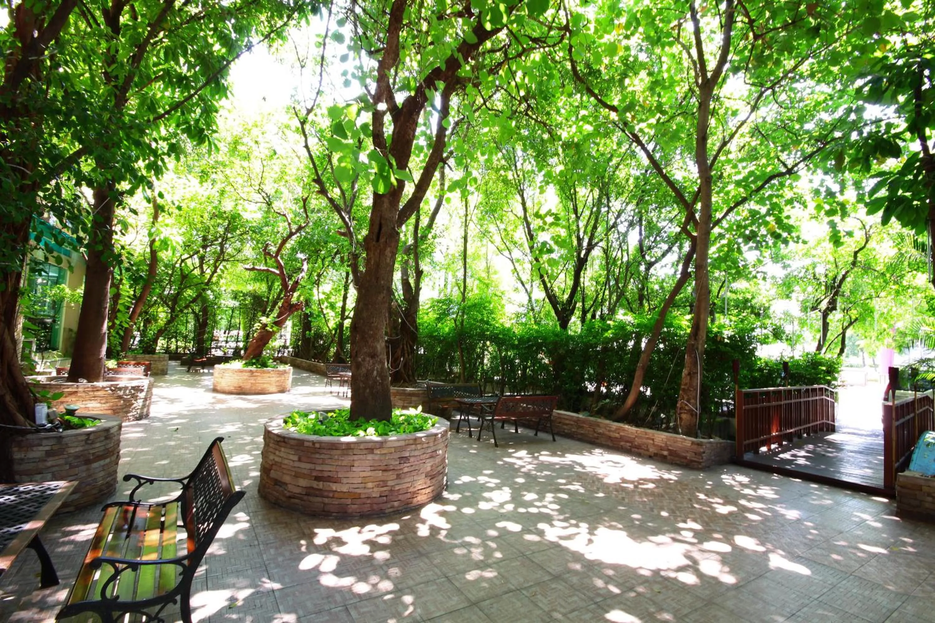 Day in Calypzo Bangkok