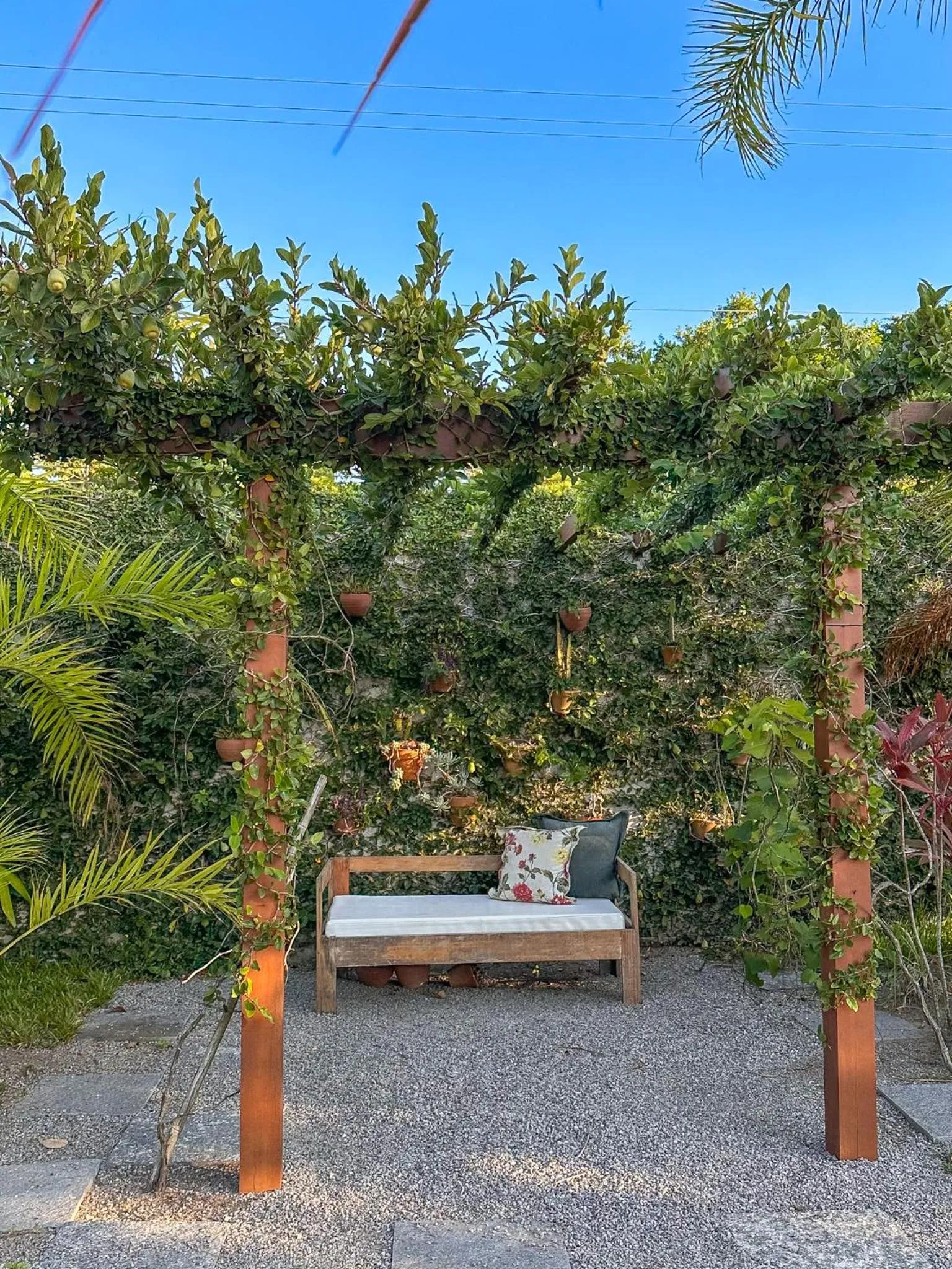 Garden in Rancho Litoral Búzios