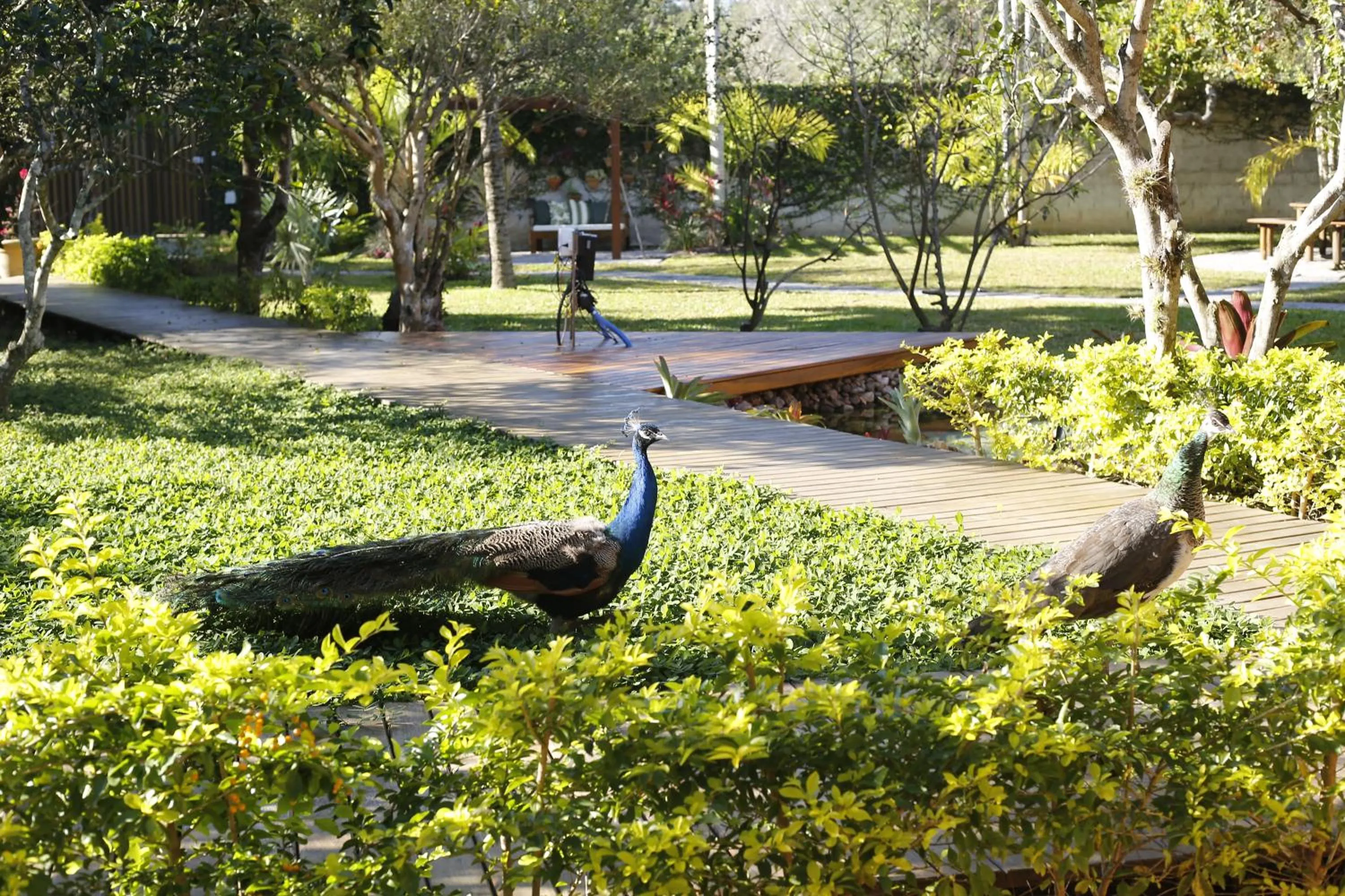 Spring in Rancho Litoral Búzios