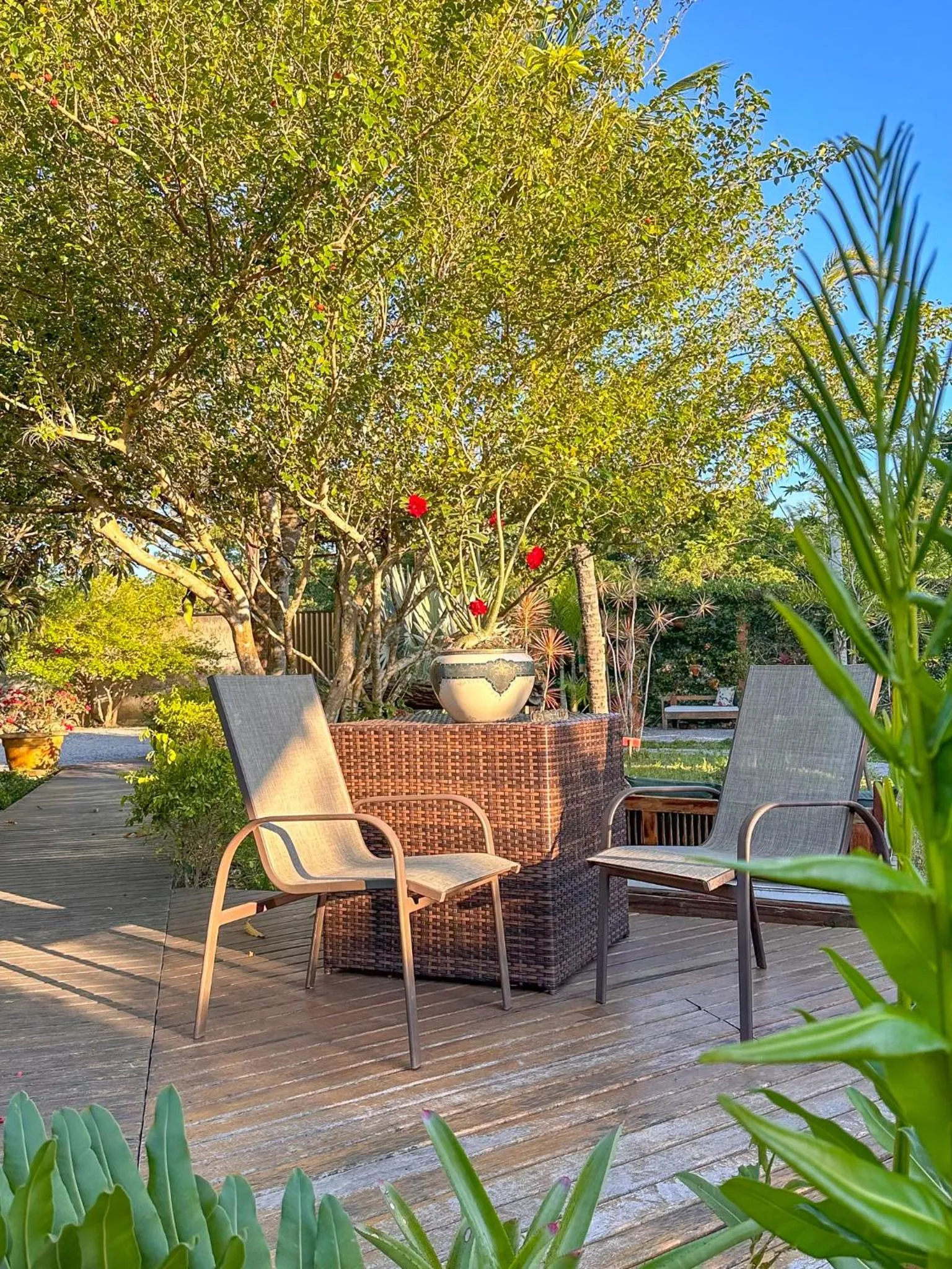 Garden in Rancho Litoral Búzios
