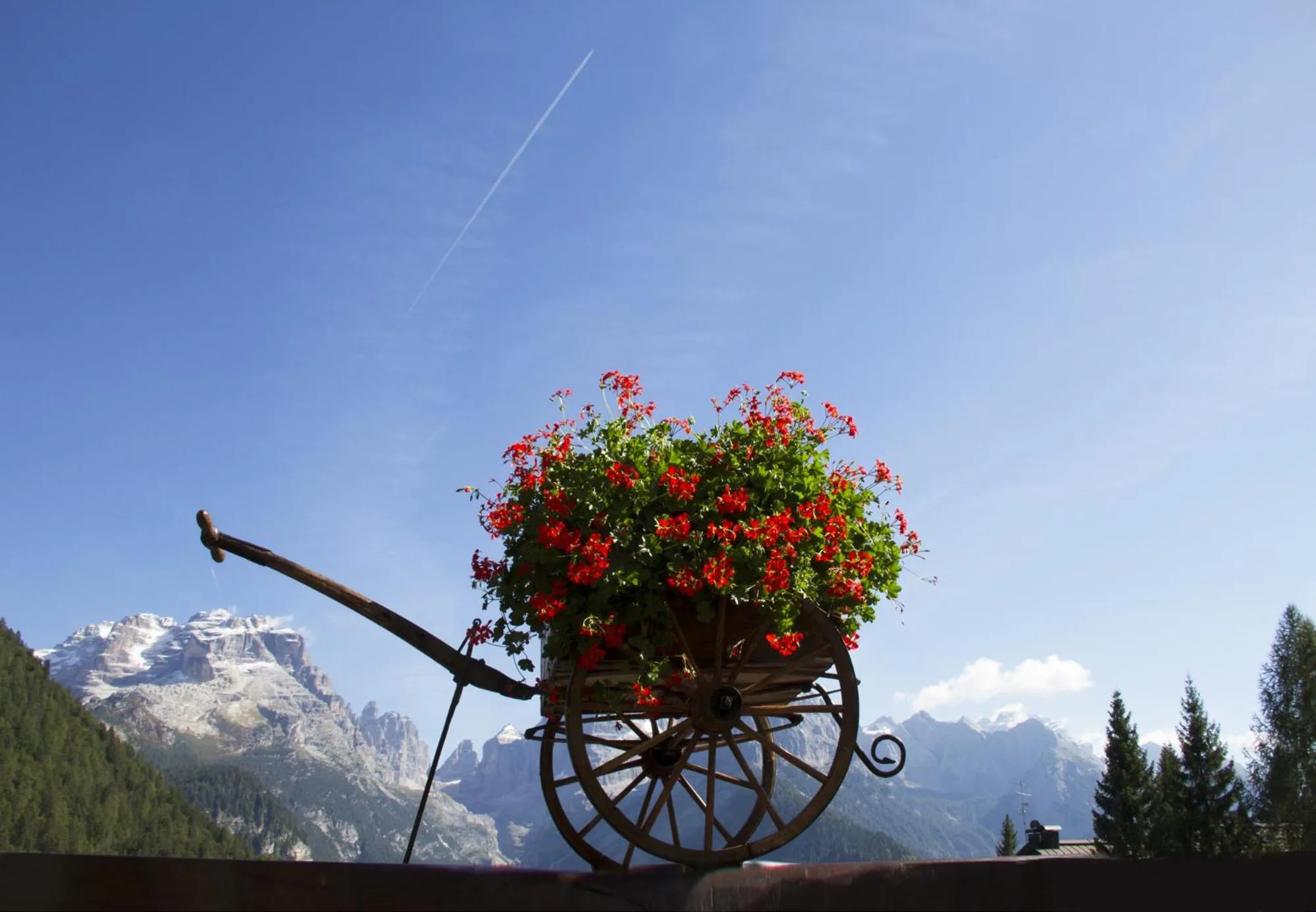 Natural landscape in Hotel Lorenzetti