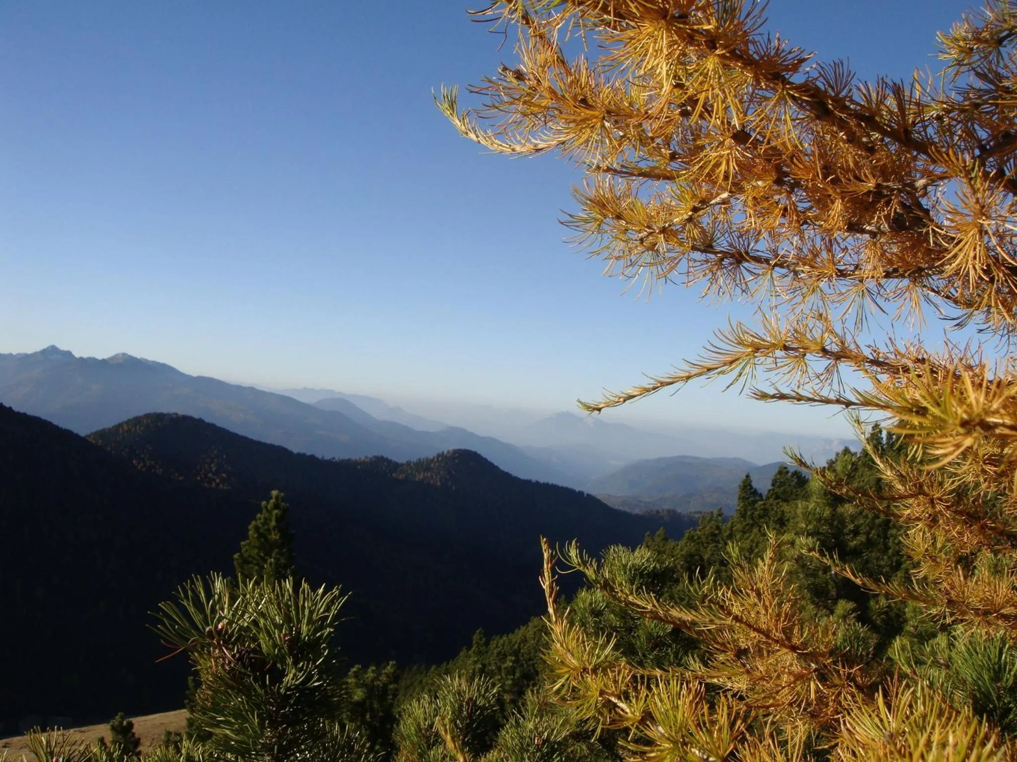 Summer in Berghotel Jochgrimm - Your Dolomites Home