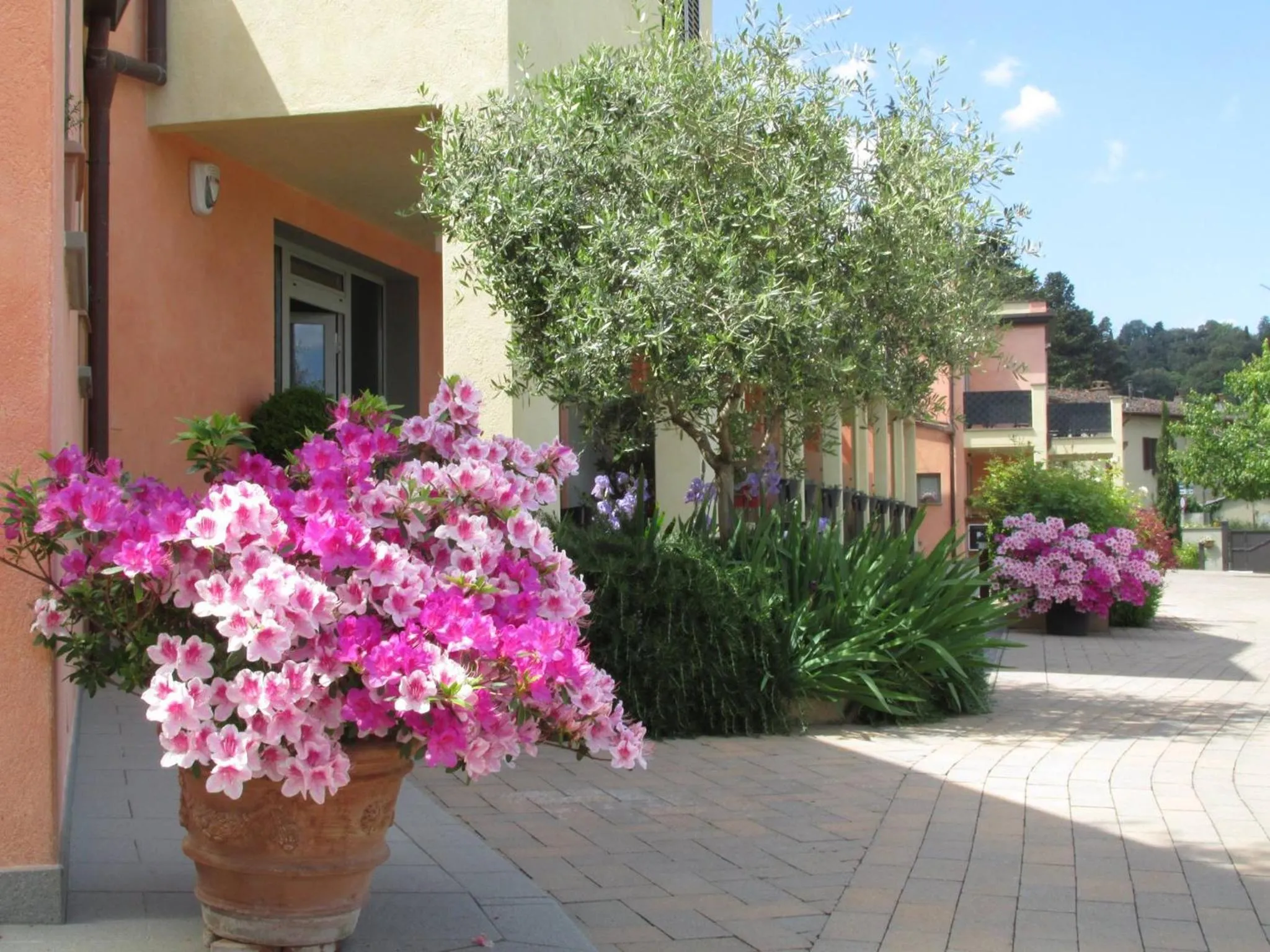 Spring in Residence Fiesole