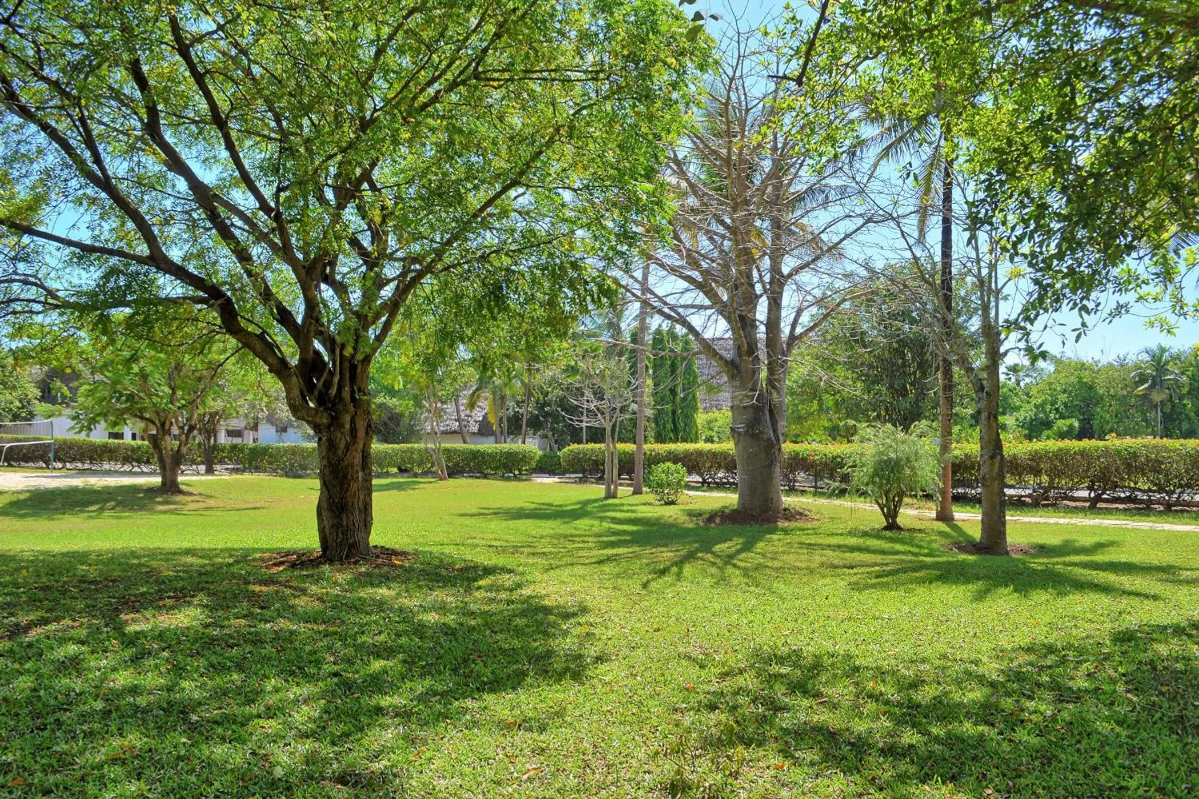 Natural landscape in Kaskazi Beach Resort