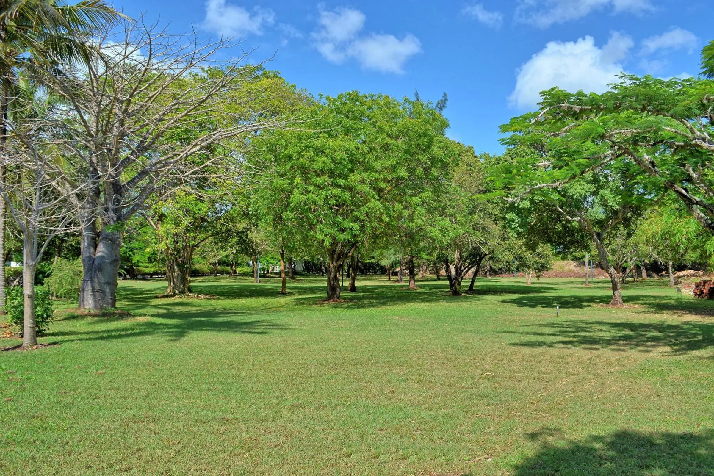 Natural landscape in Kaskazi Beach Resort