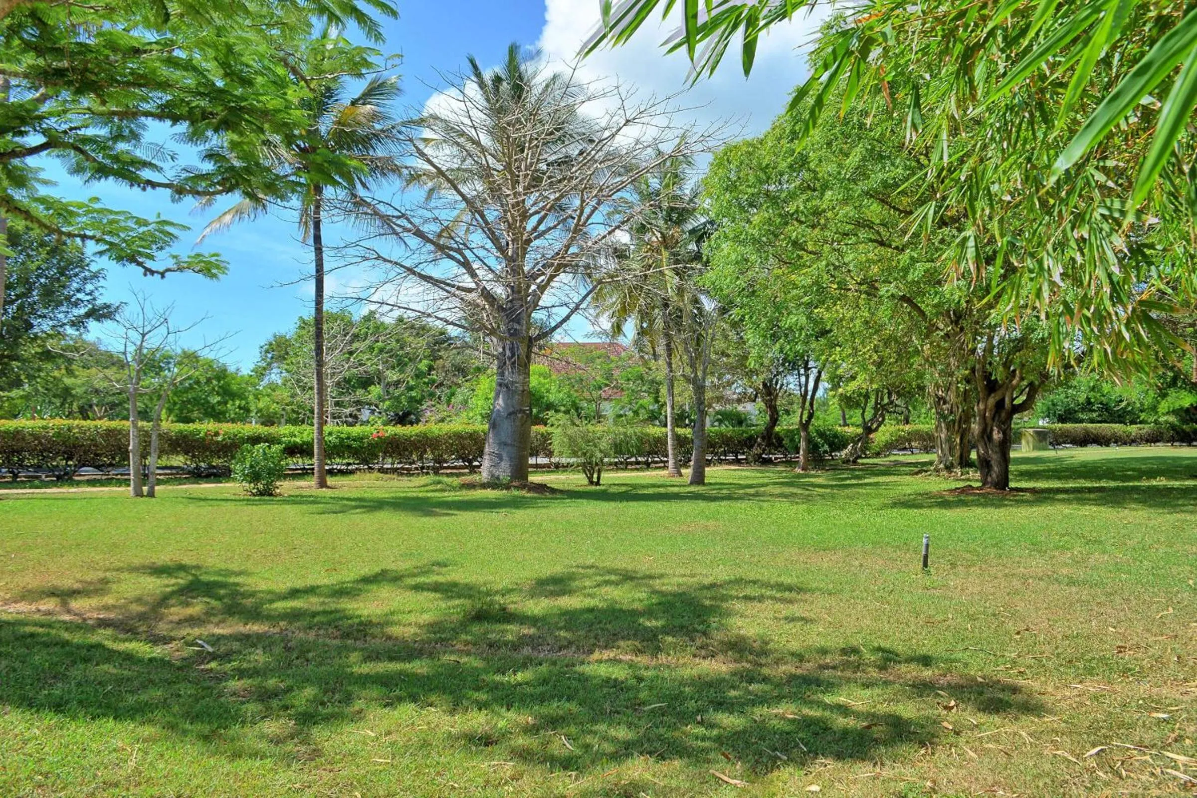Natural landscape in Kaskazi Beach Resort