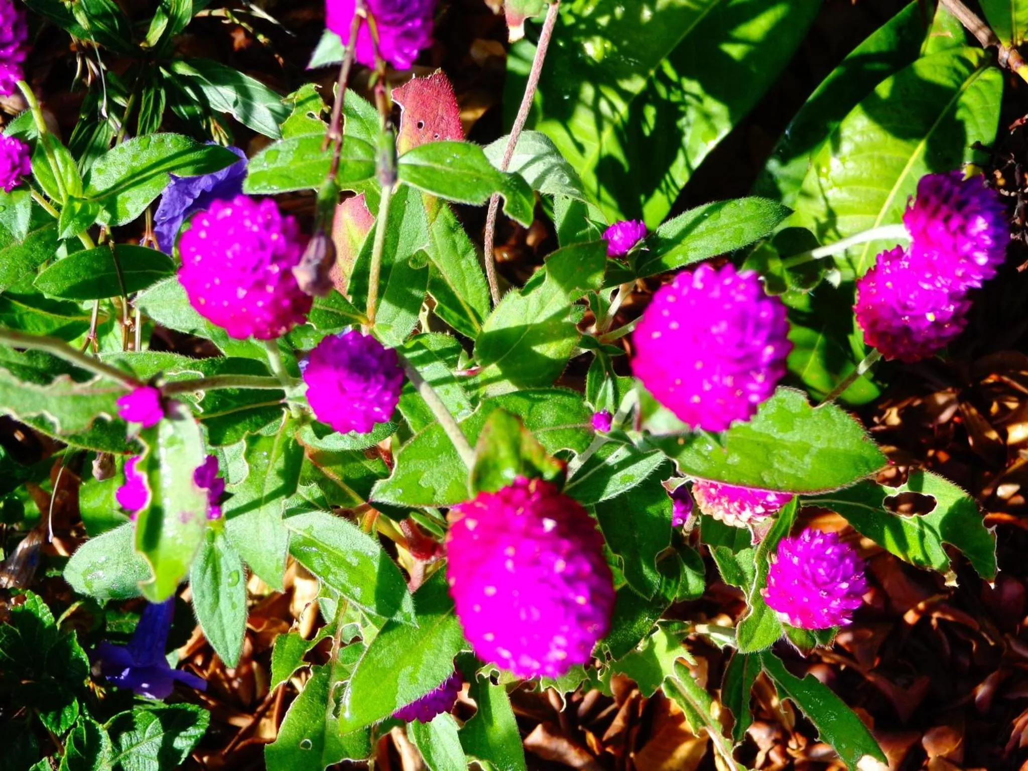 Natural landscape in Kaskazi Beach Resort