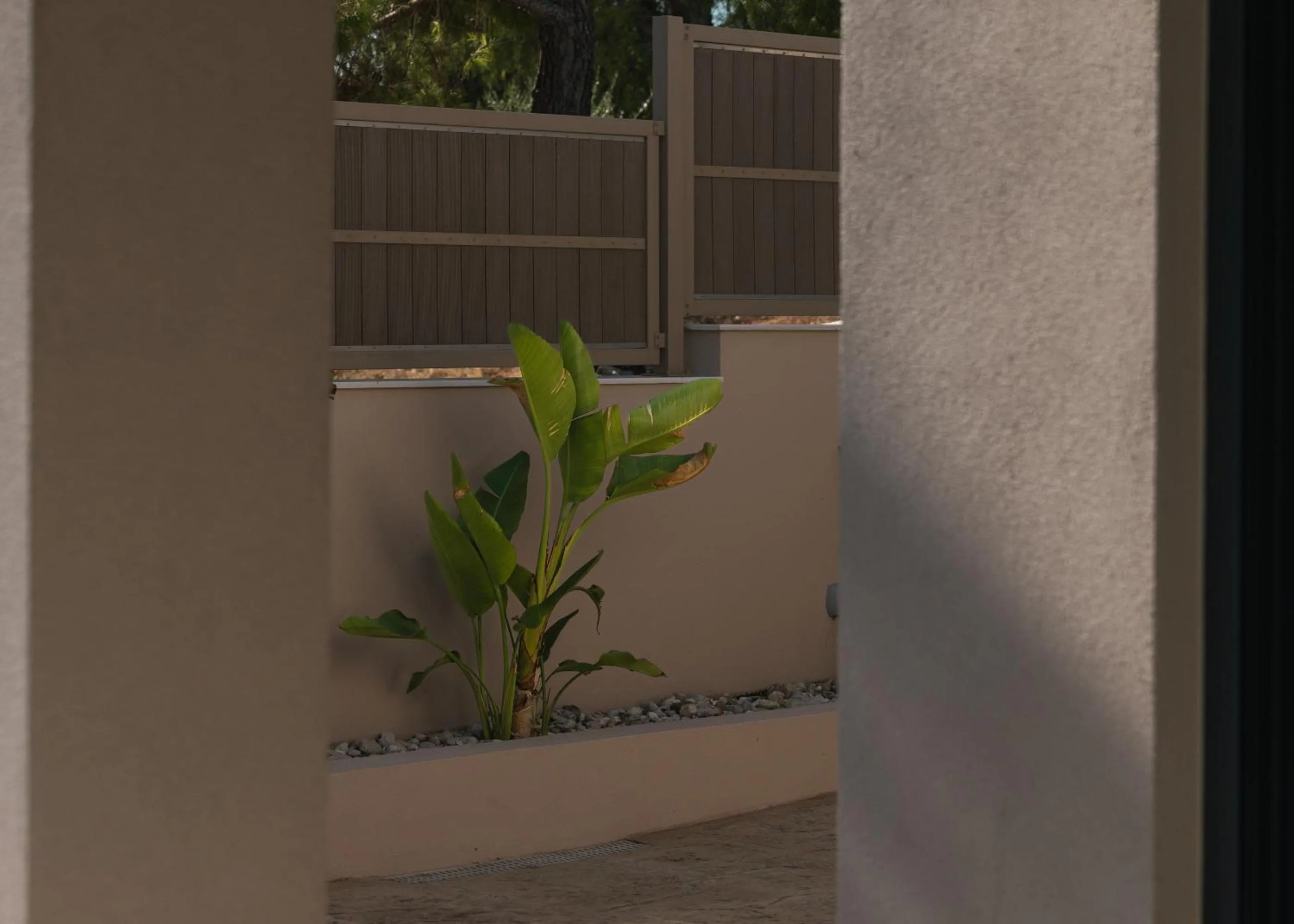 Amelia Residence