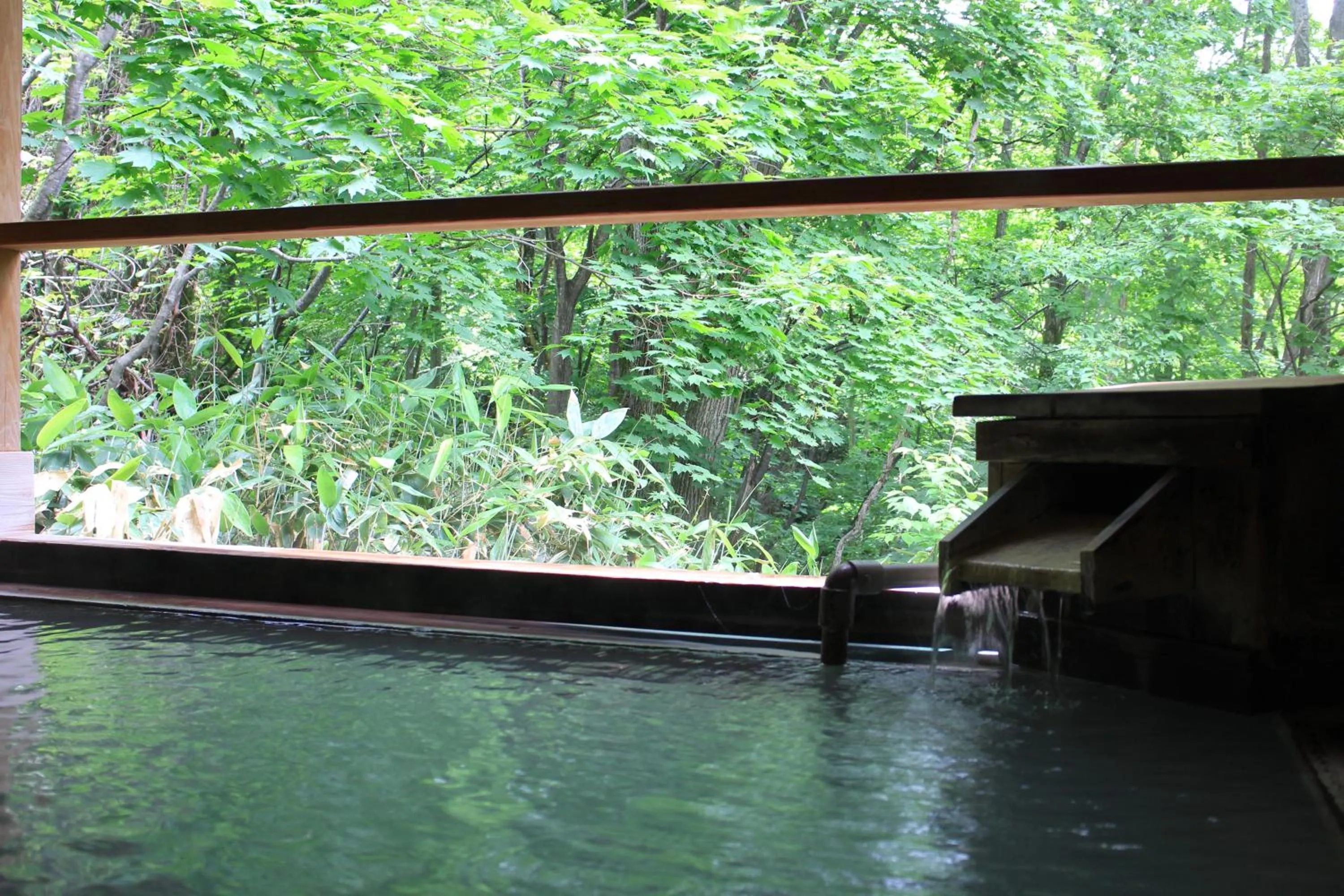 Hot Spring Bath in Takamiya Hotel Jurin
