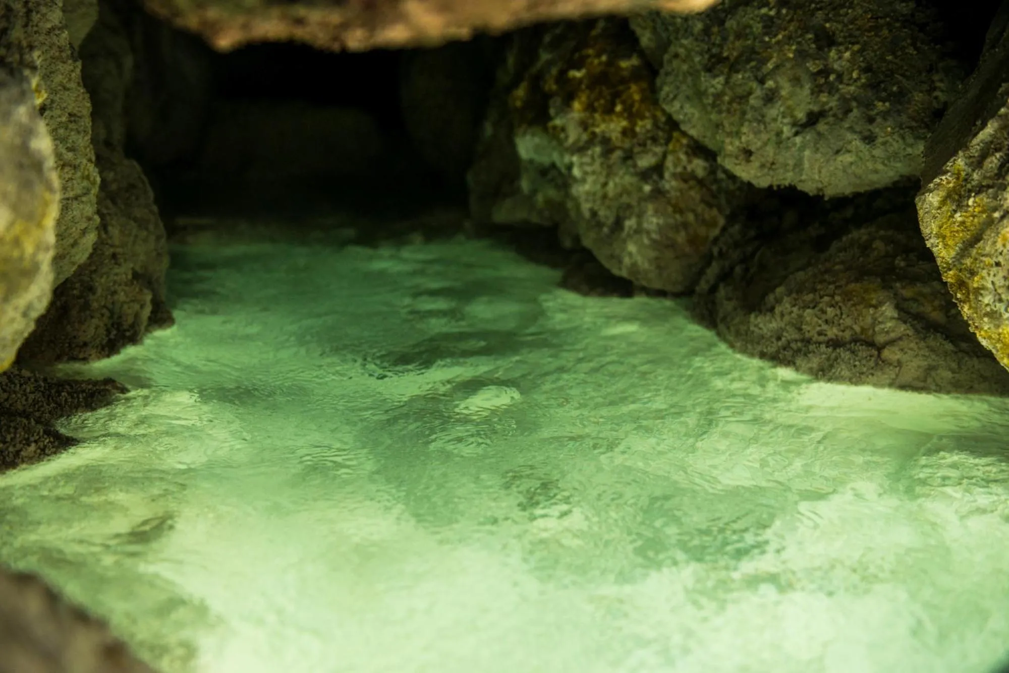 Takamiya Ryokan Miyamaso