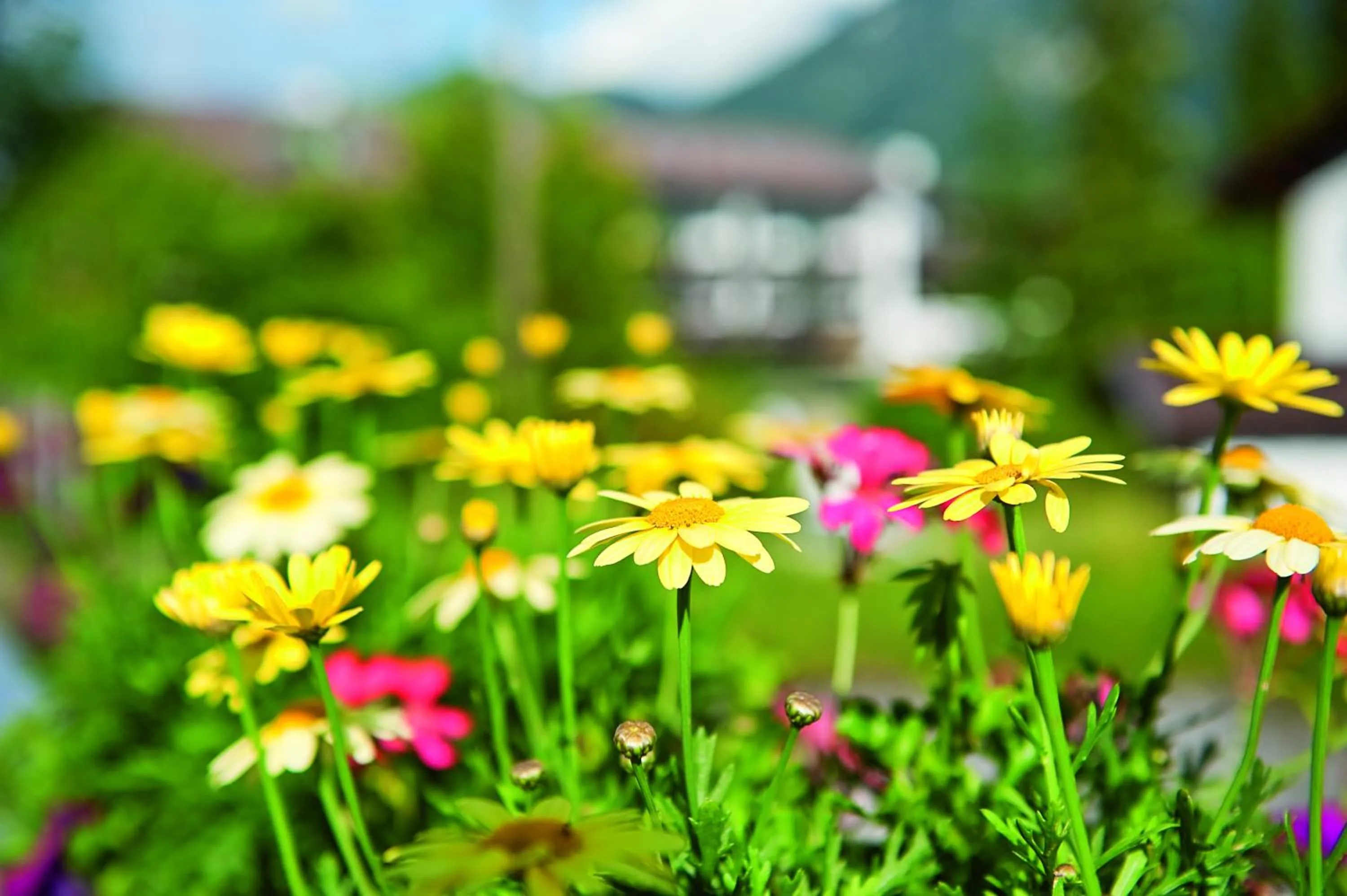 Garden in Parkhotel Wallgau 4 Sterne Superior Alpenjuwel mit Spa Genuss, Golf & Wellness in der Karwendel-Region Tradition trifft Eleganz im stilvollen Rückzugsort