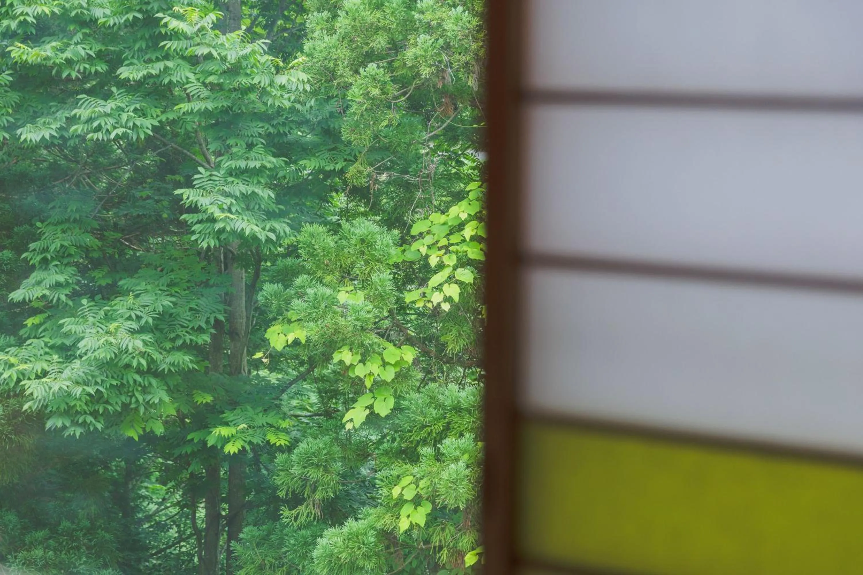 Takamiya Hotel Hammond