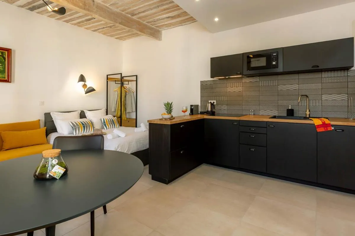 Kitchen or kitchenette in Provence Au Coeur Appart Hotels