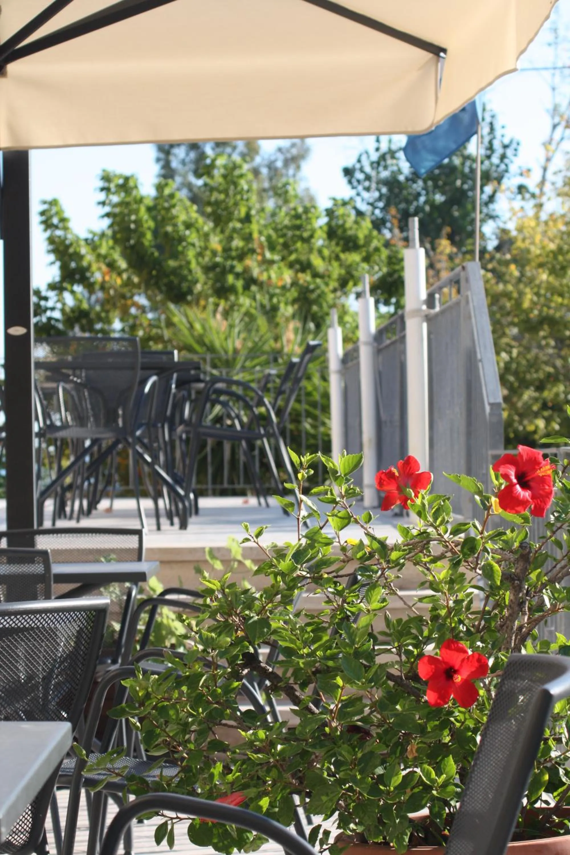 Facade/entrance in Hotel Lido