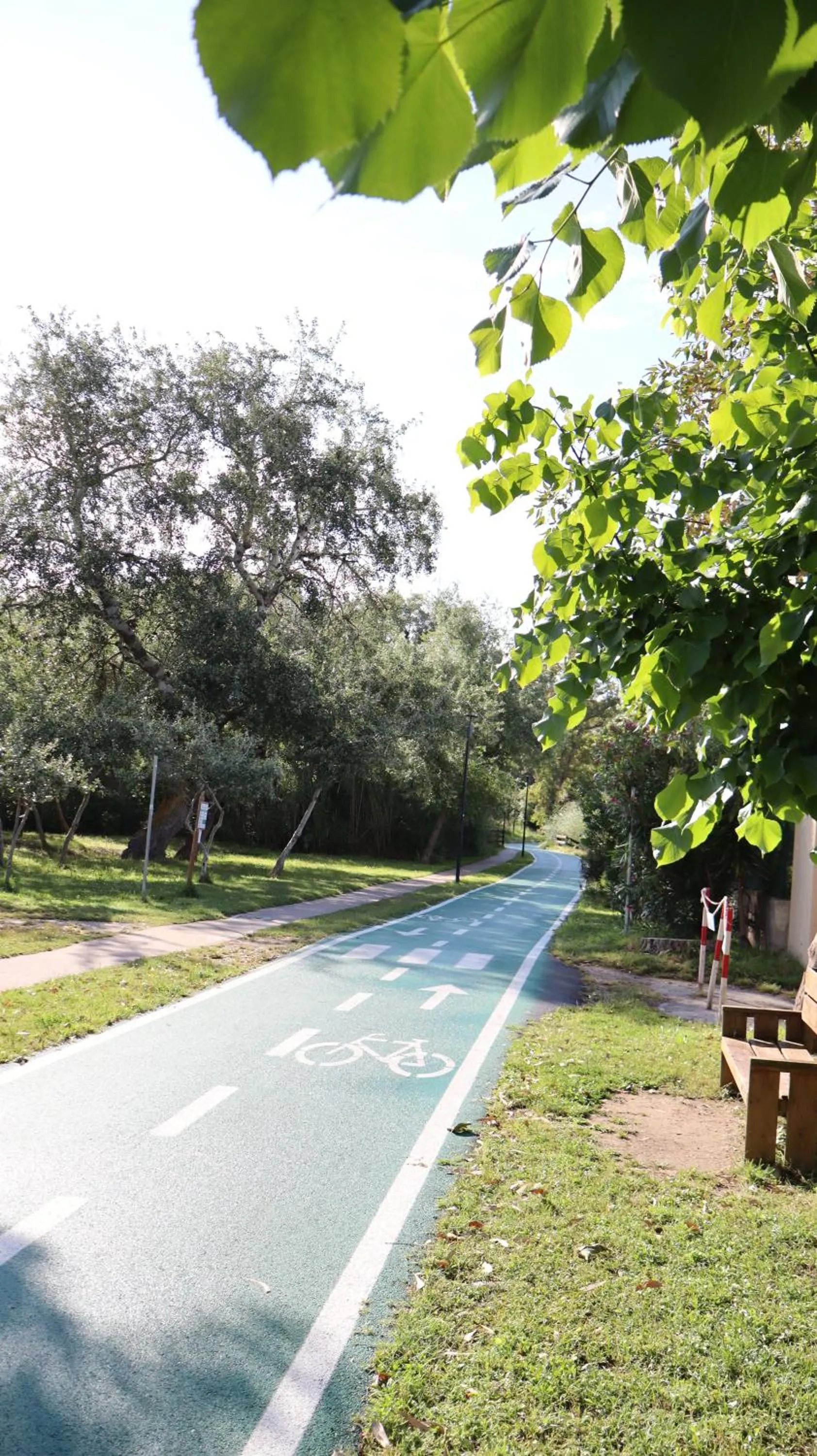 Cycling in Hotel Lido