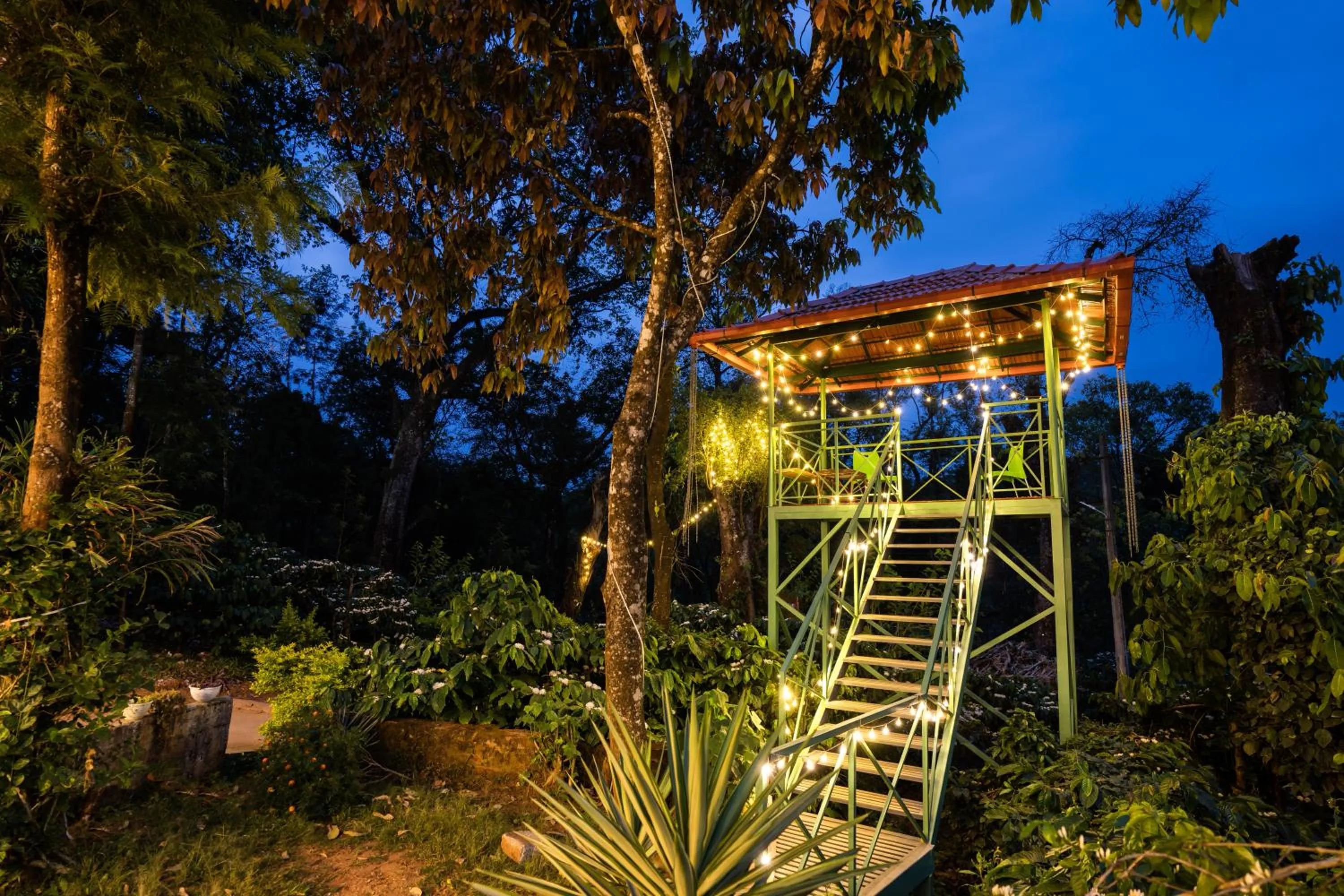 Night in Zostel Coorg, Madikeri