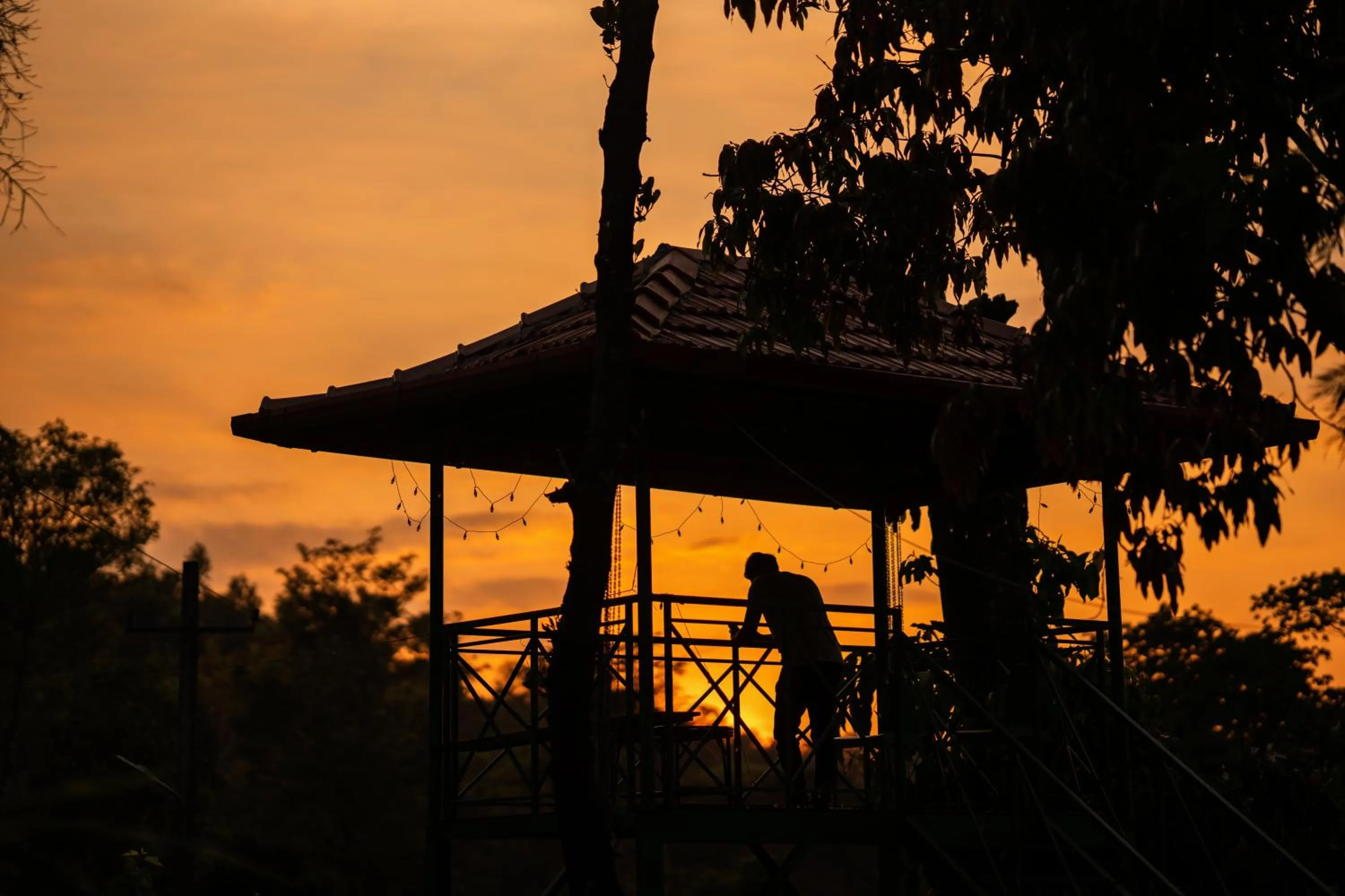 Day in Zostel Coorg, Madikeri