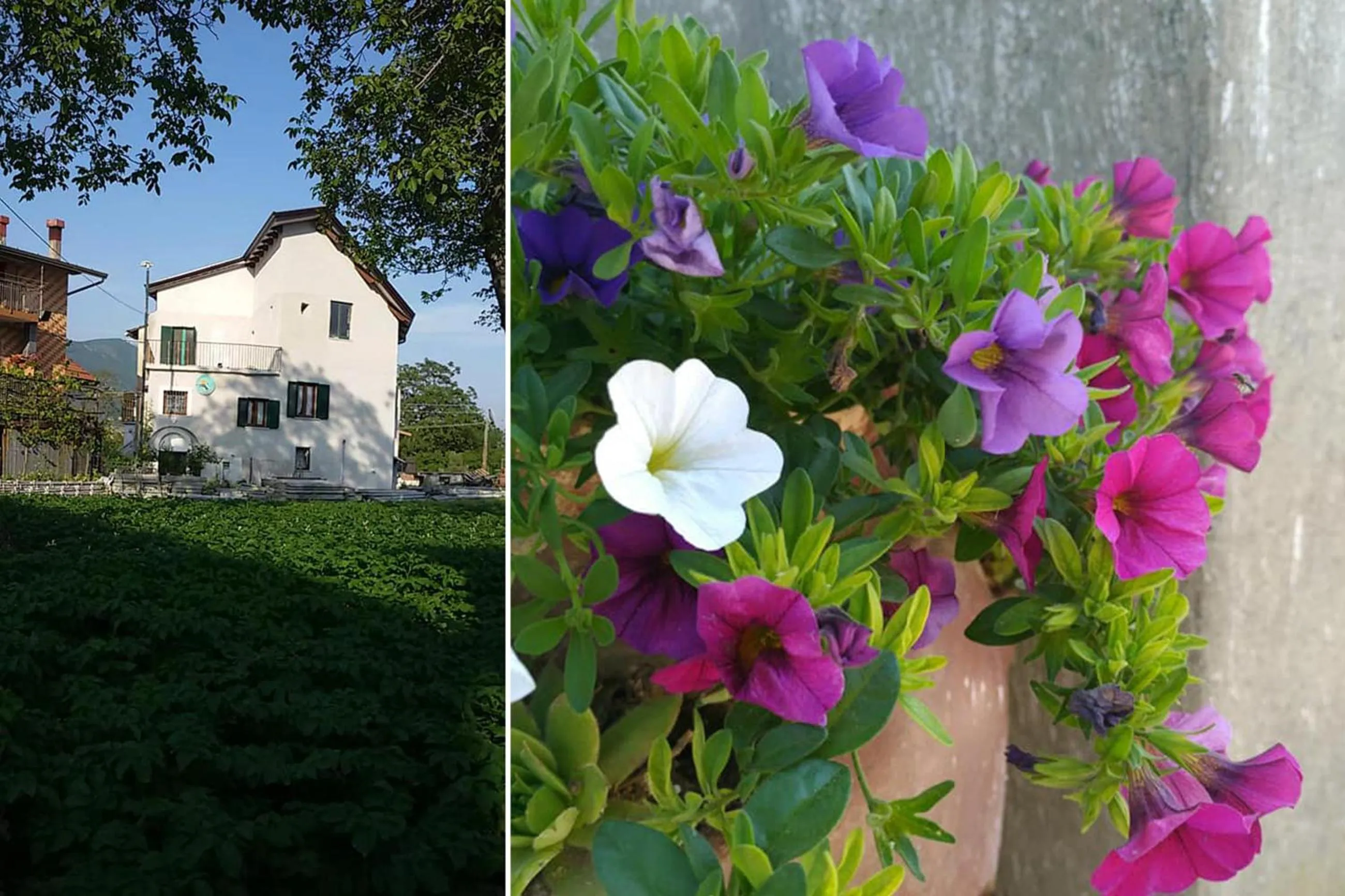 Property building in Il Rifugio del Cuore