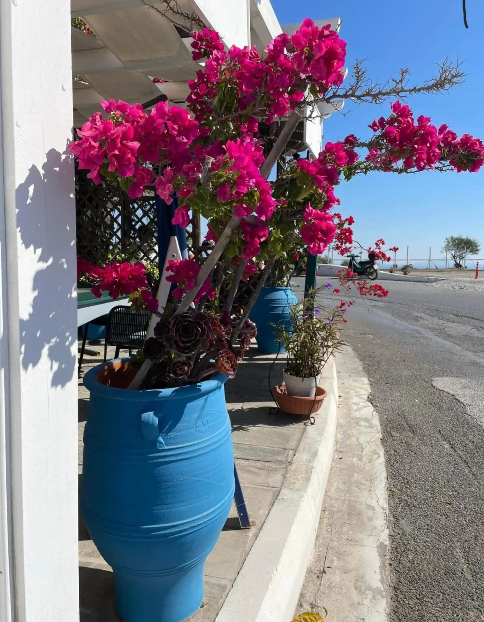 Spring in Kosinmyheart Apartment 11 & Studio10