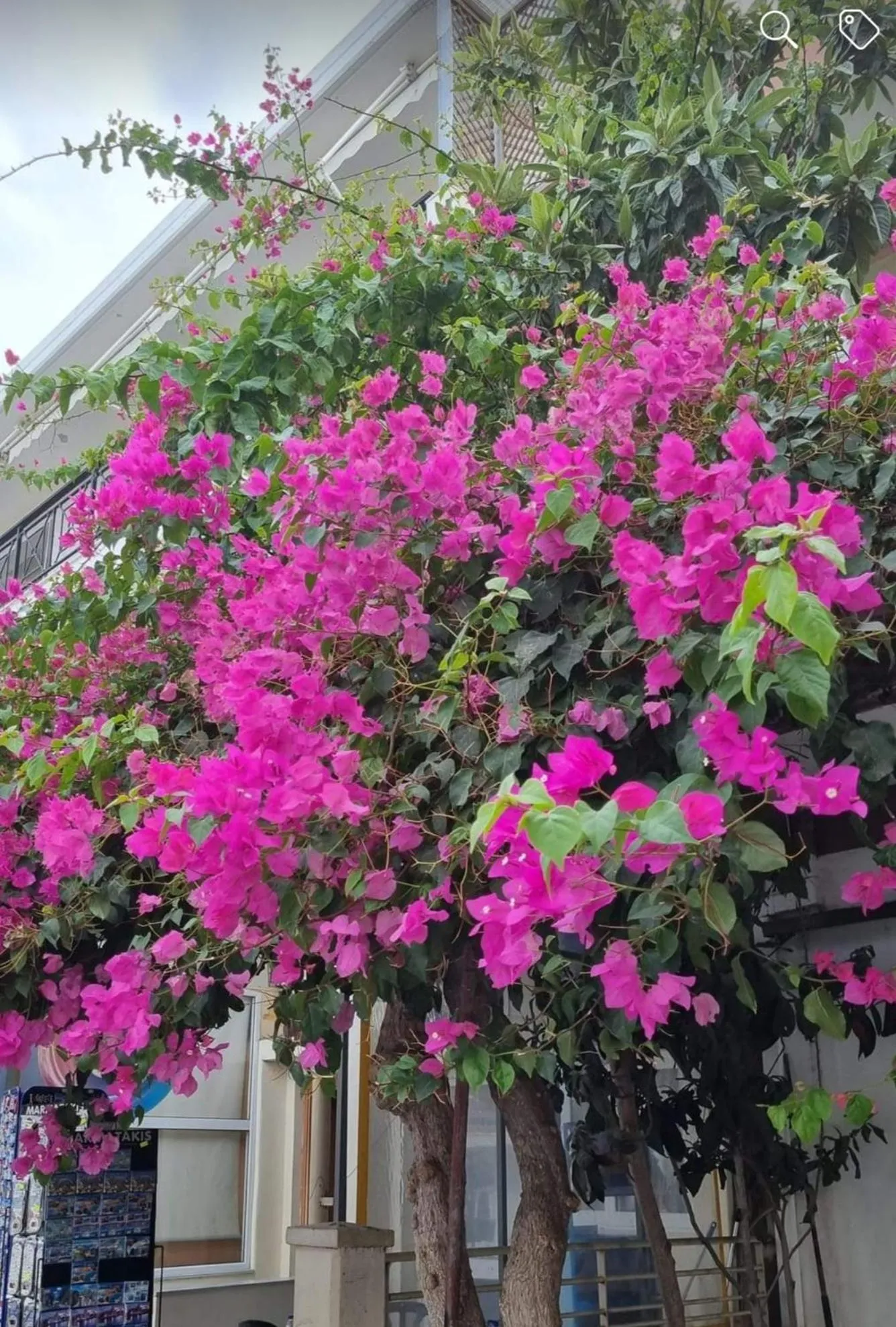 City view in Kosinmyheart Apartment 11 & Studio10