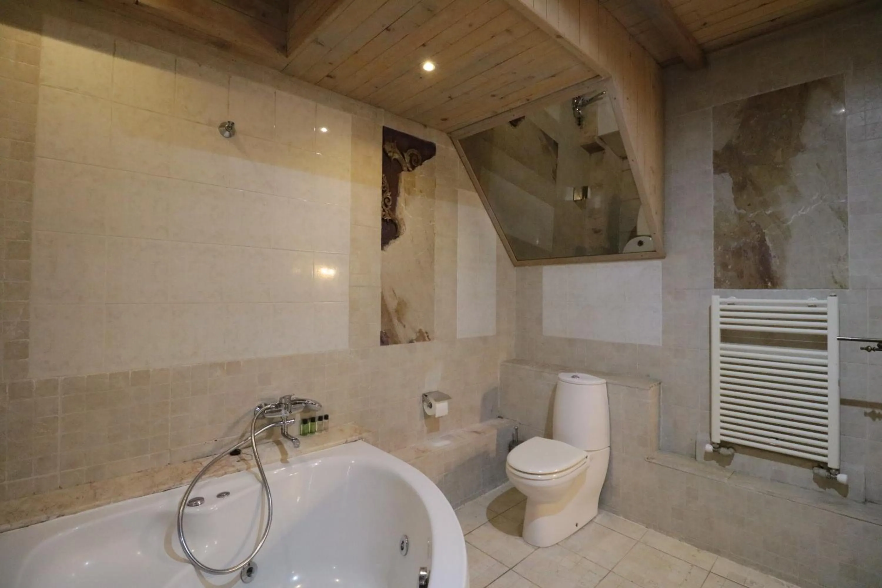 Bathroom in Artists Residence in Tbilisi