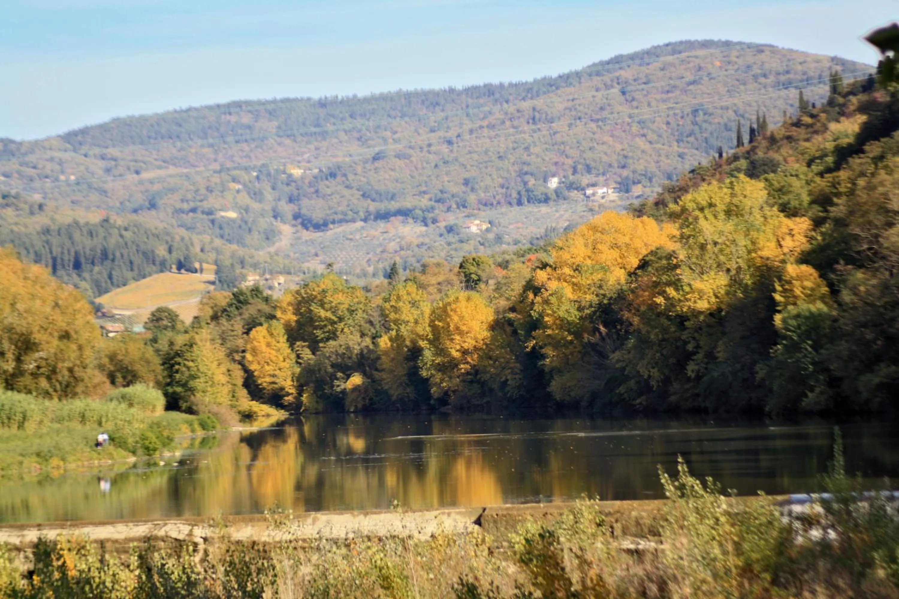 Area and facilities in La Martellina B&B