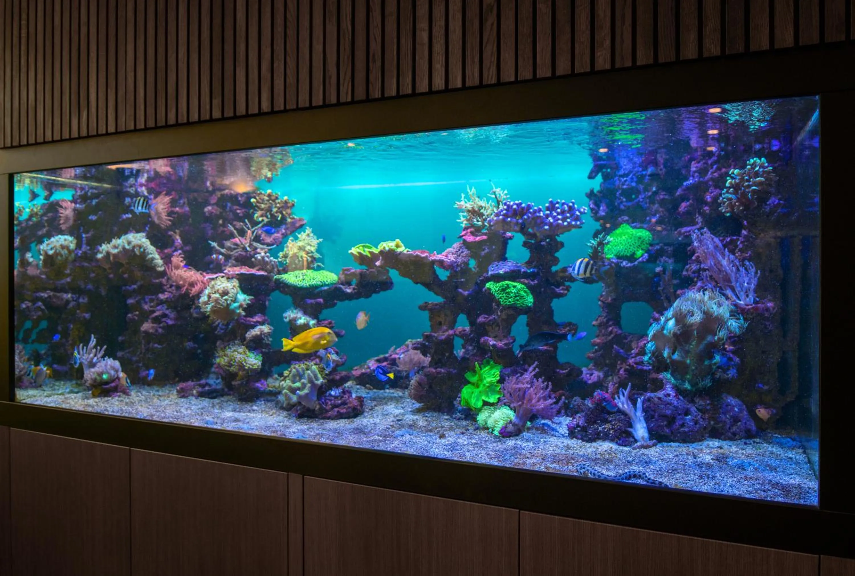 Lobby or reception in Hôtel Pax