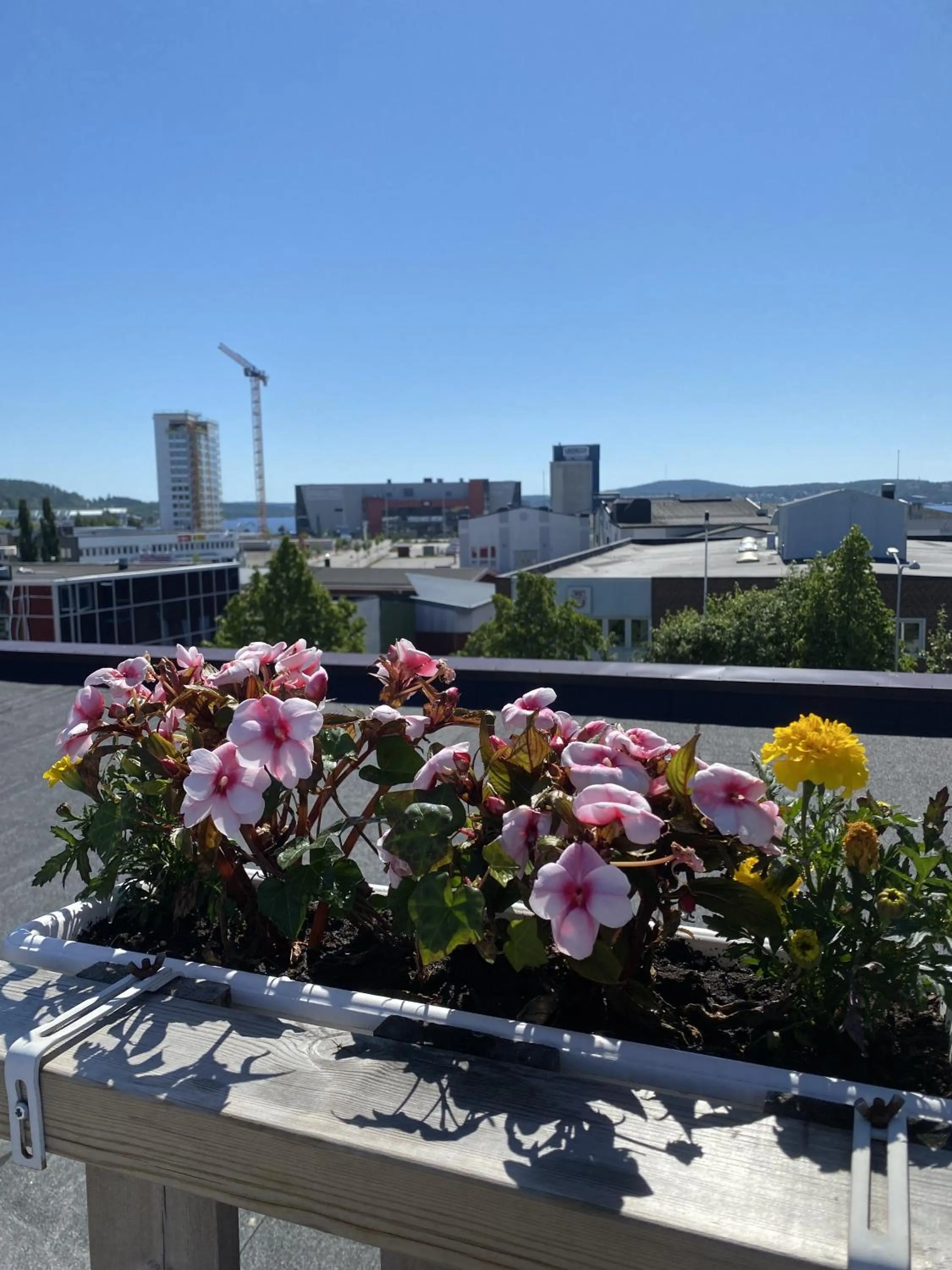 Balcony/Terrace in Strand City Hotel