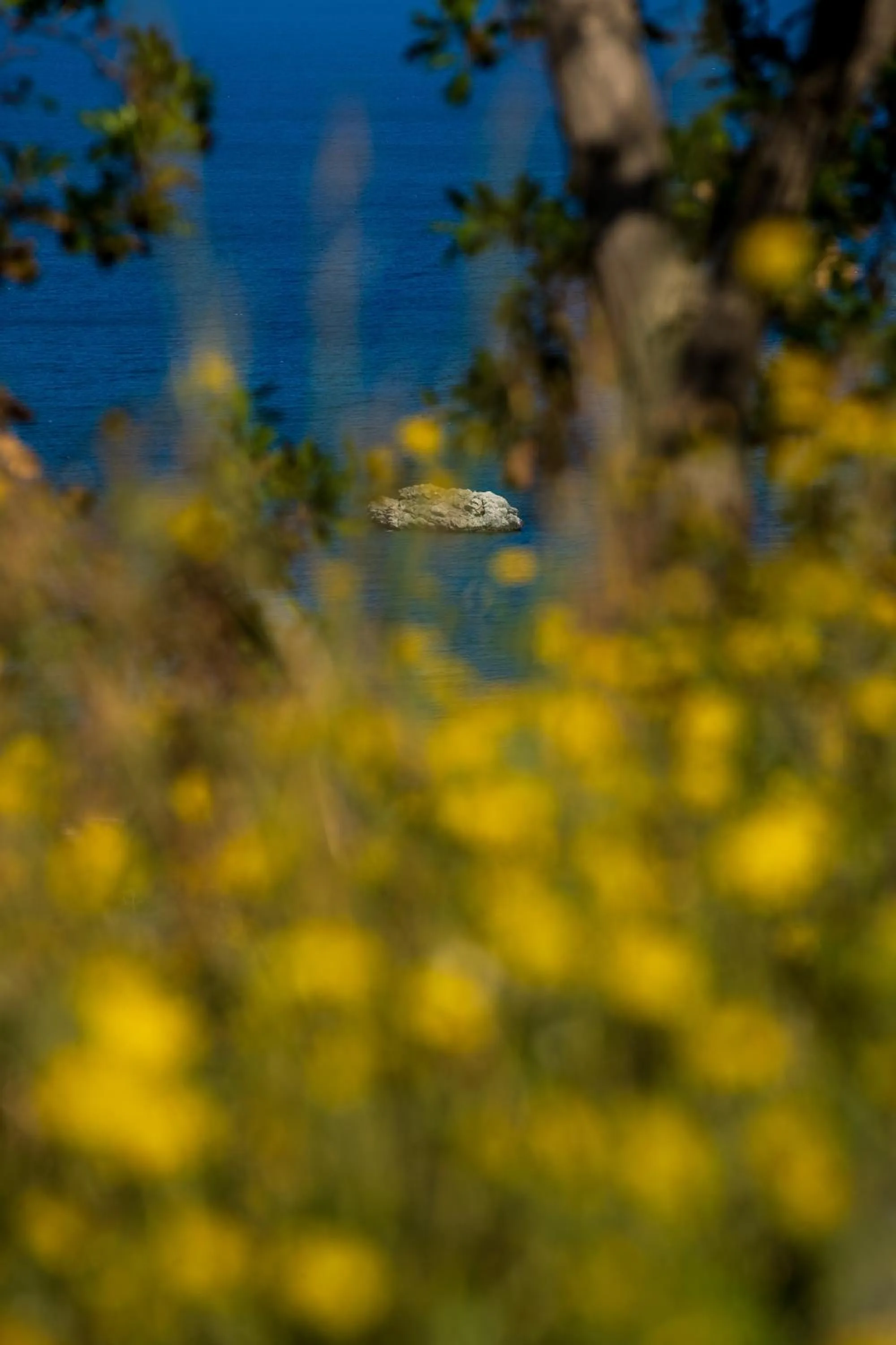 City view in Residence Mersa