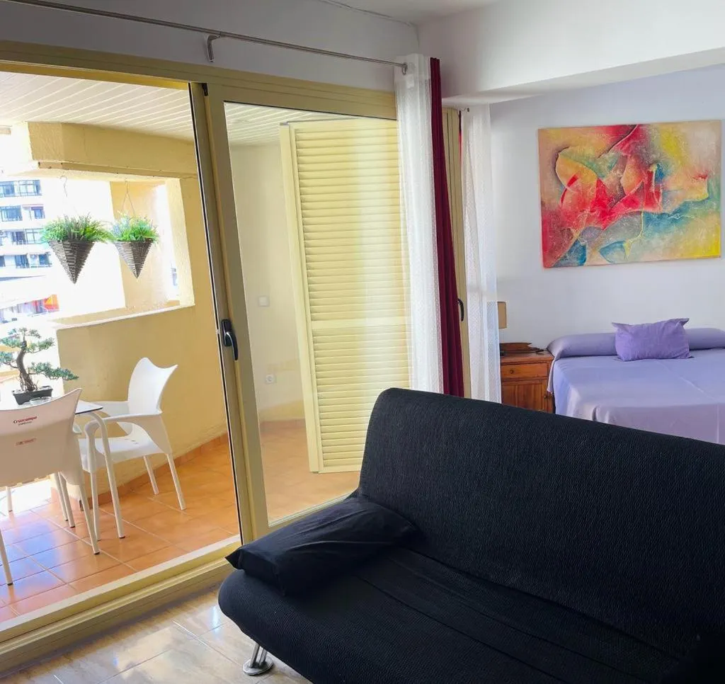 Photo of the whole room in Puerta del Sol TRM only adults Aparts