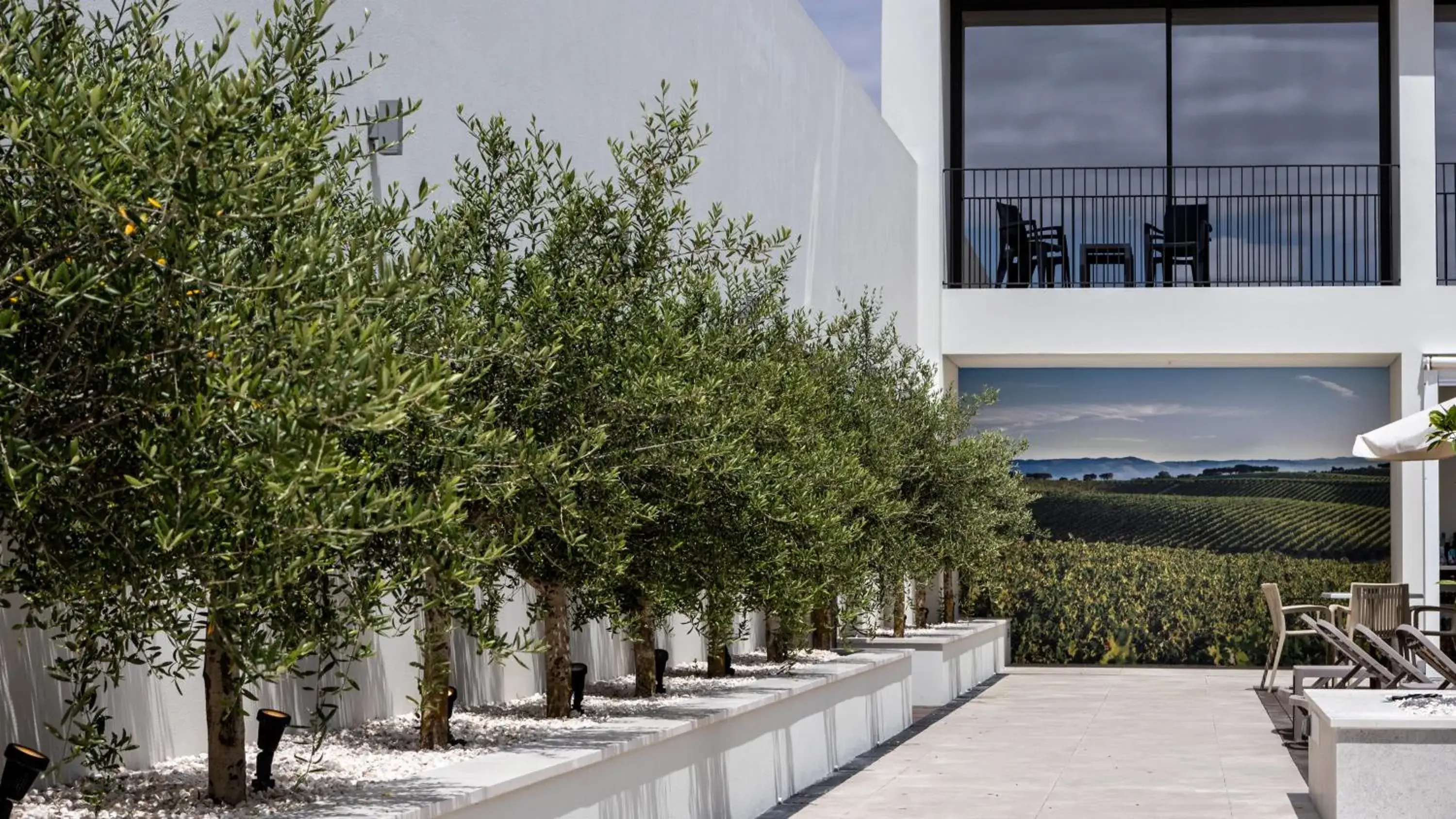 Patio in Évora O Cante Hotel Patio in Évora O Cante Hotel