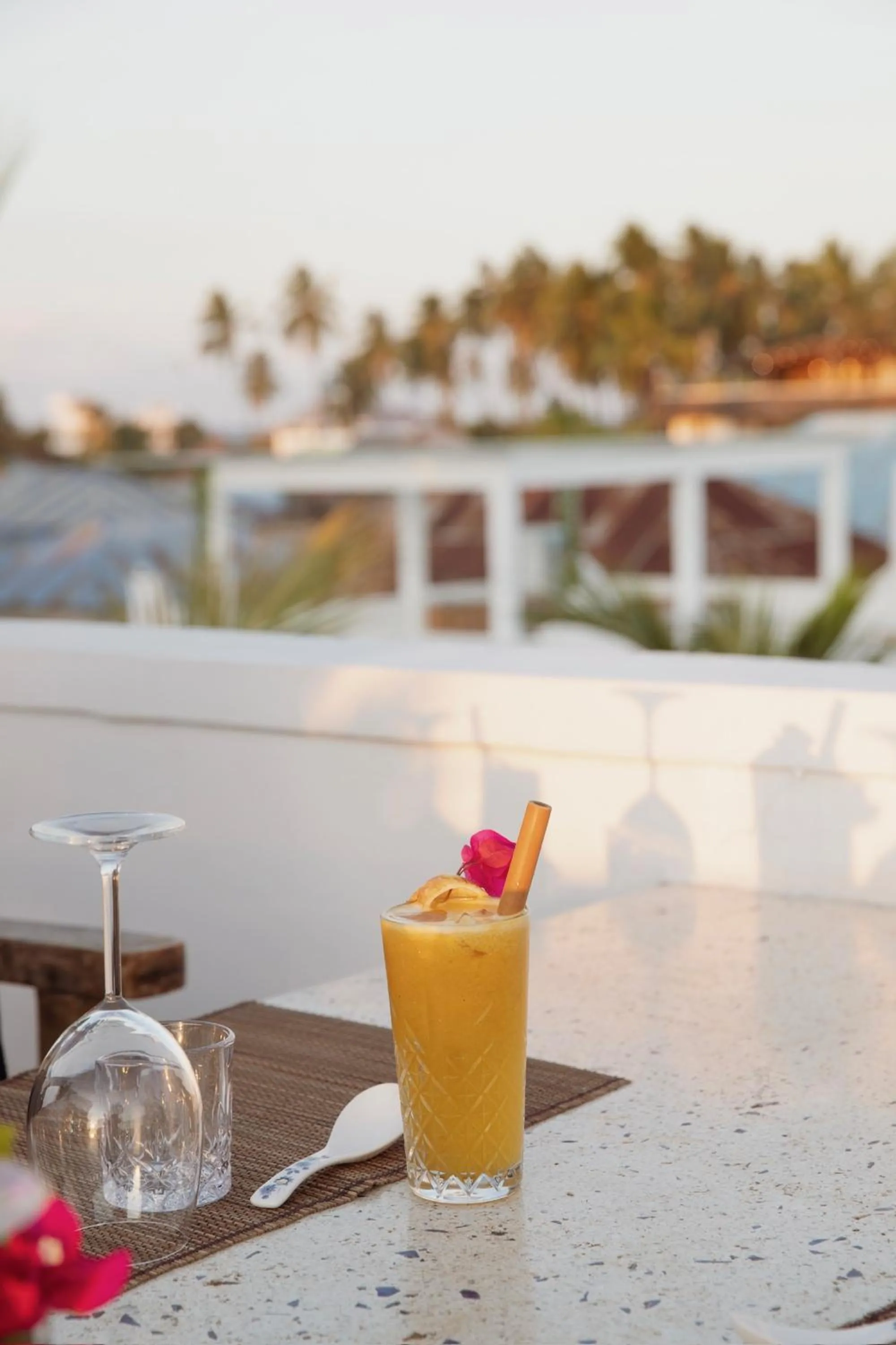 Alcoholic drinks in Paje White House